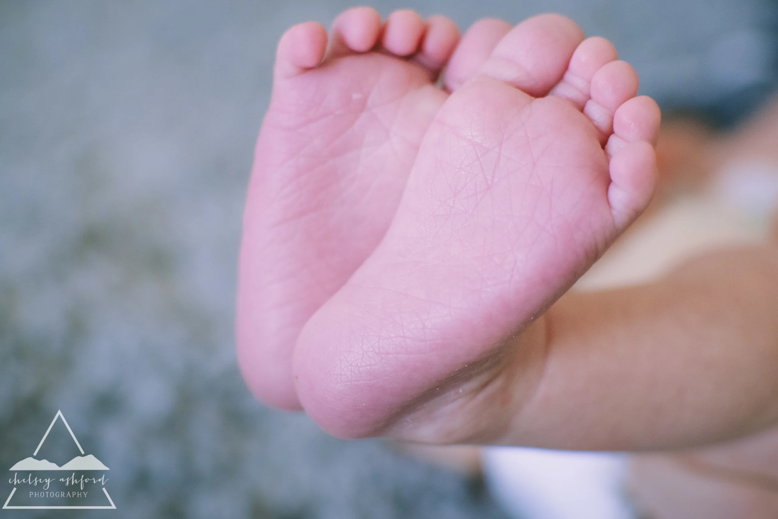 Lifestyle Newborn Session // Chelsey Ashford Photography 2015