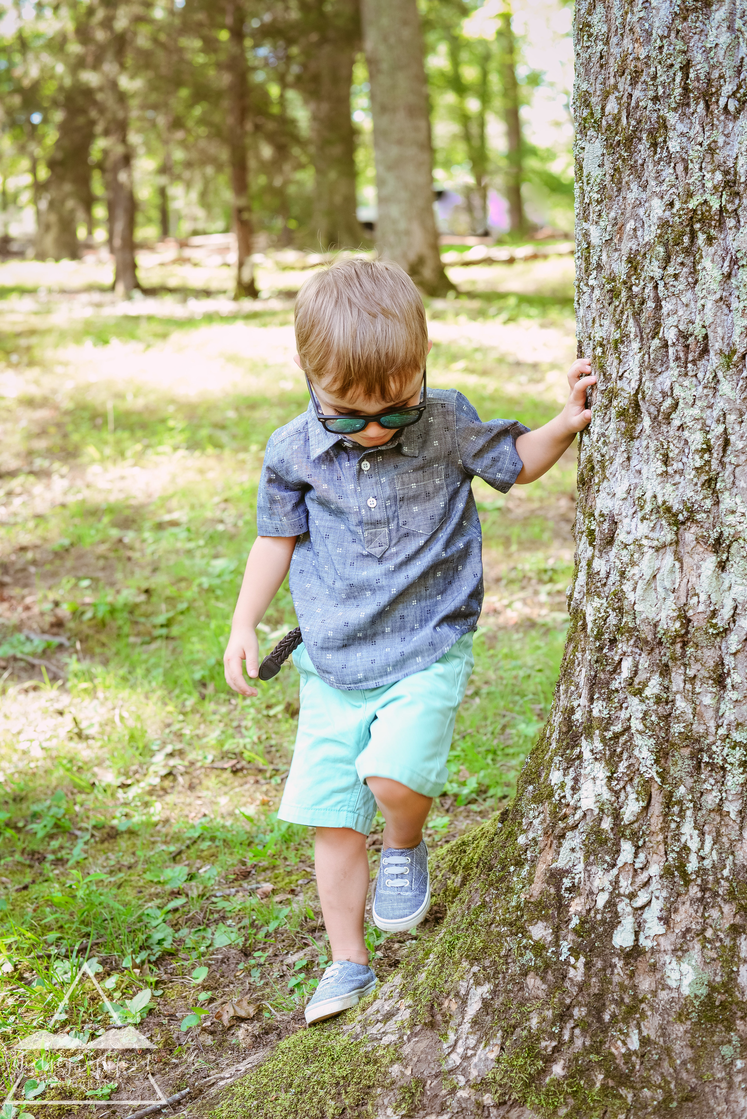 Barron_web-3.jpg