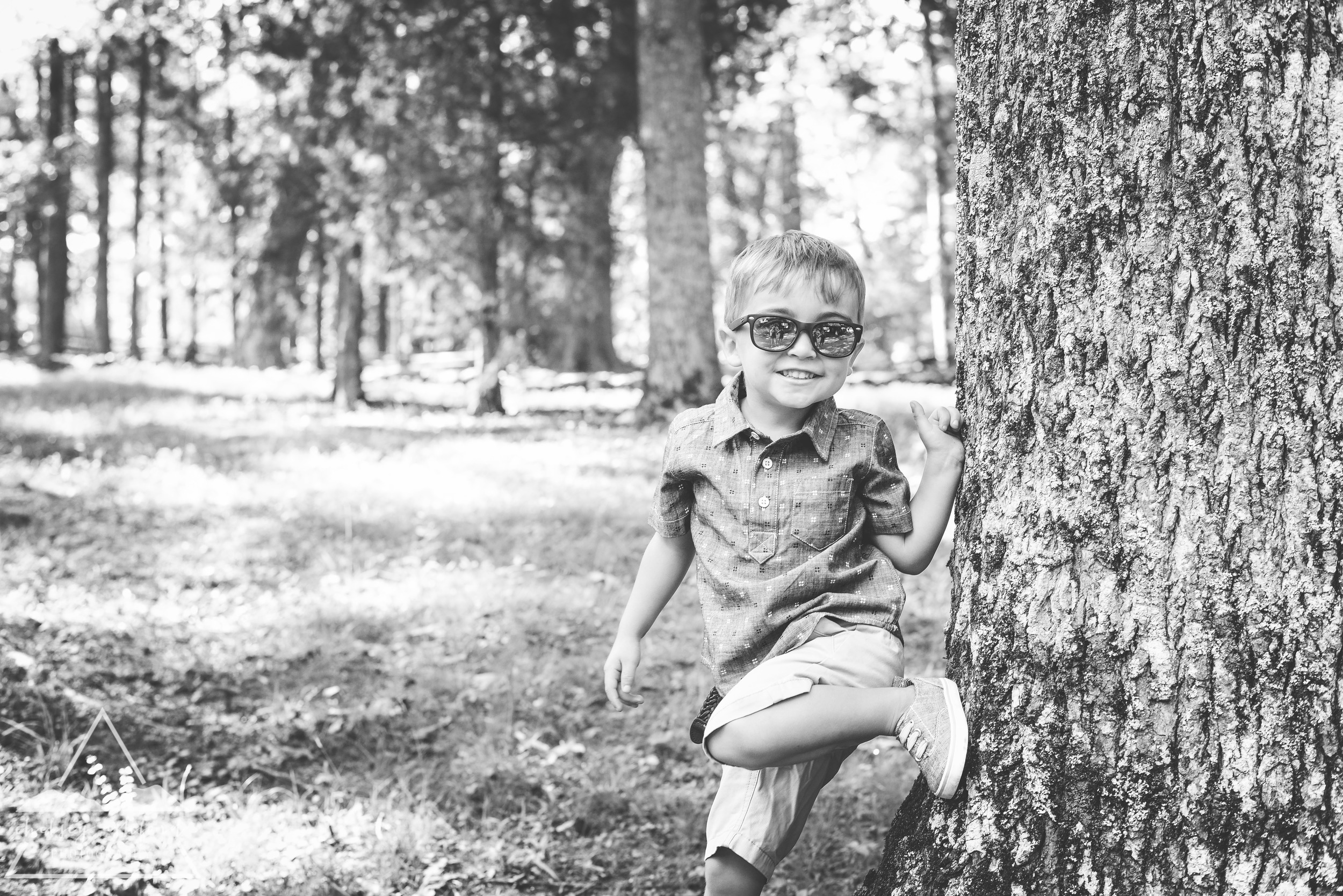 Barron_web-2.jpg