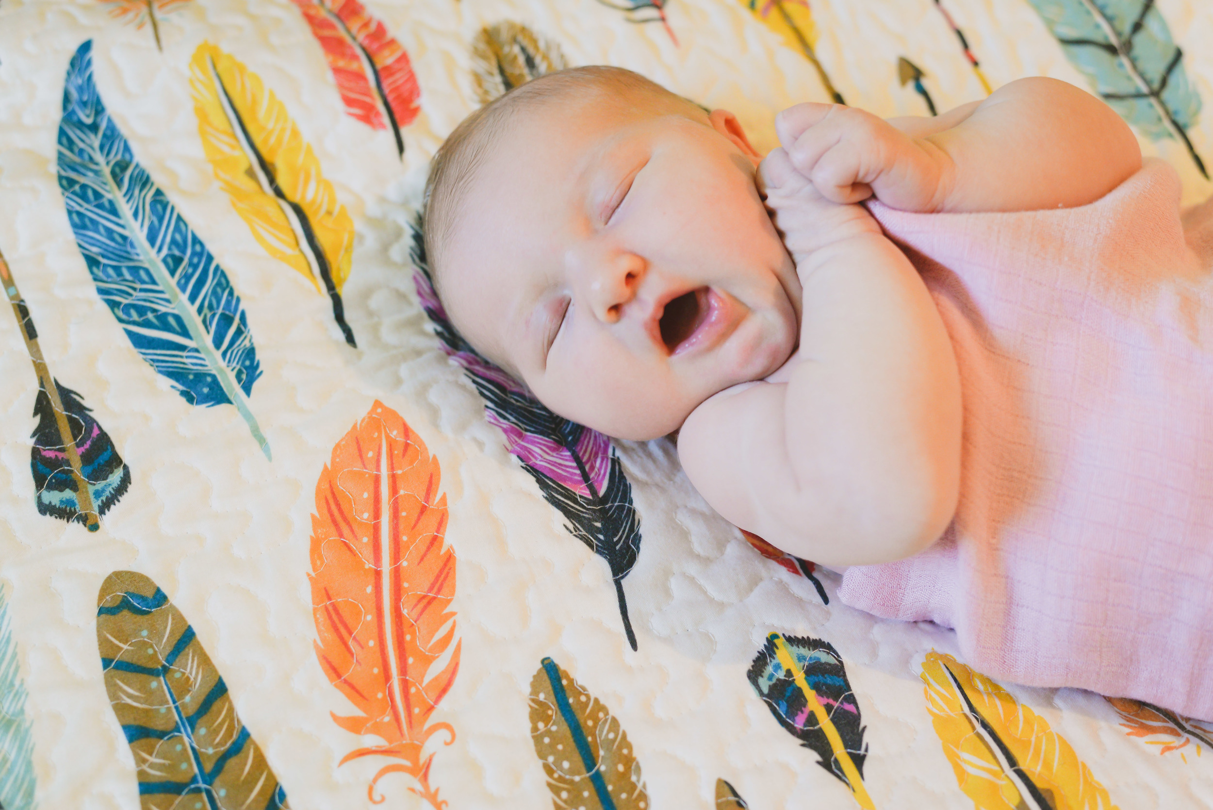  Chelsey Ashford Photography 2015  www.cmaphoto.co 