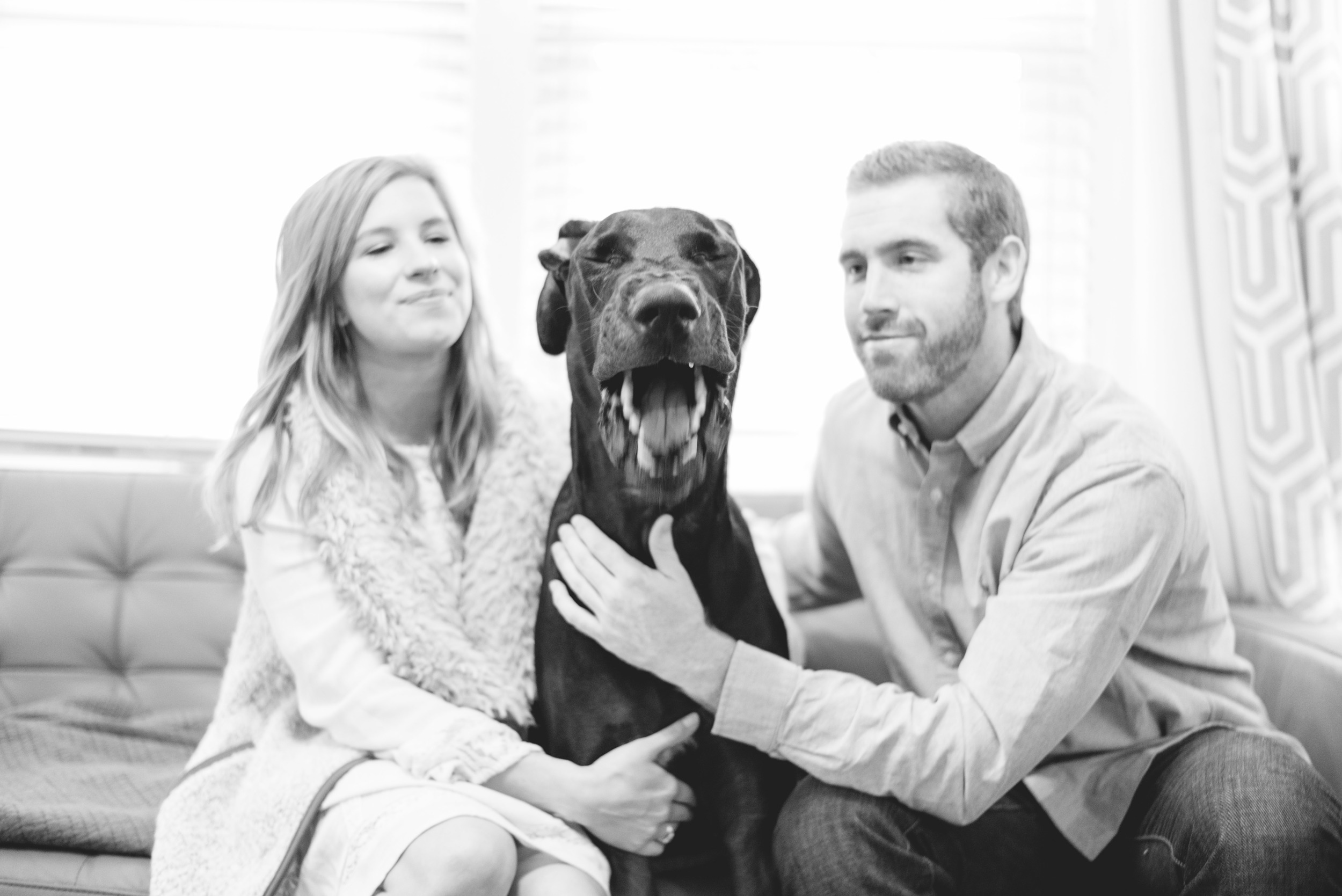 HB_Engagementweb-7.jpg