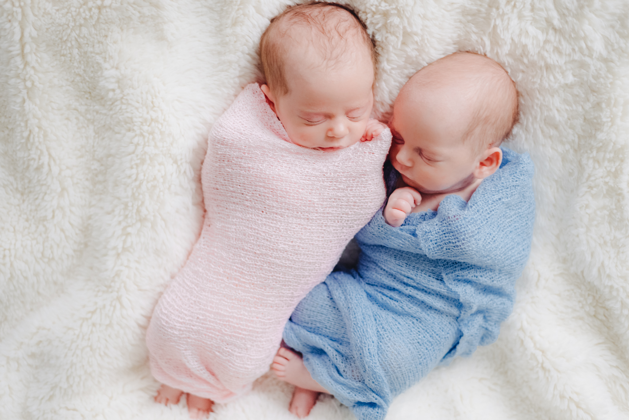 newborntwins.jpg