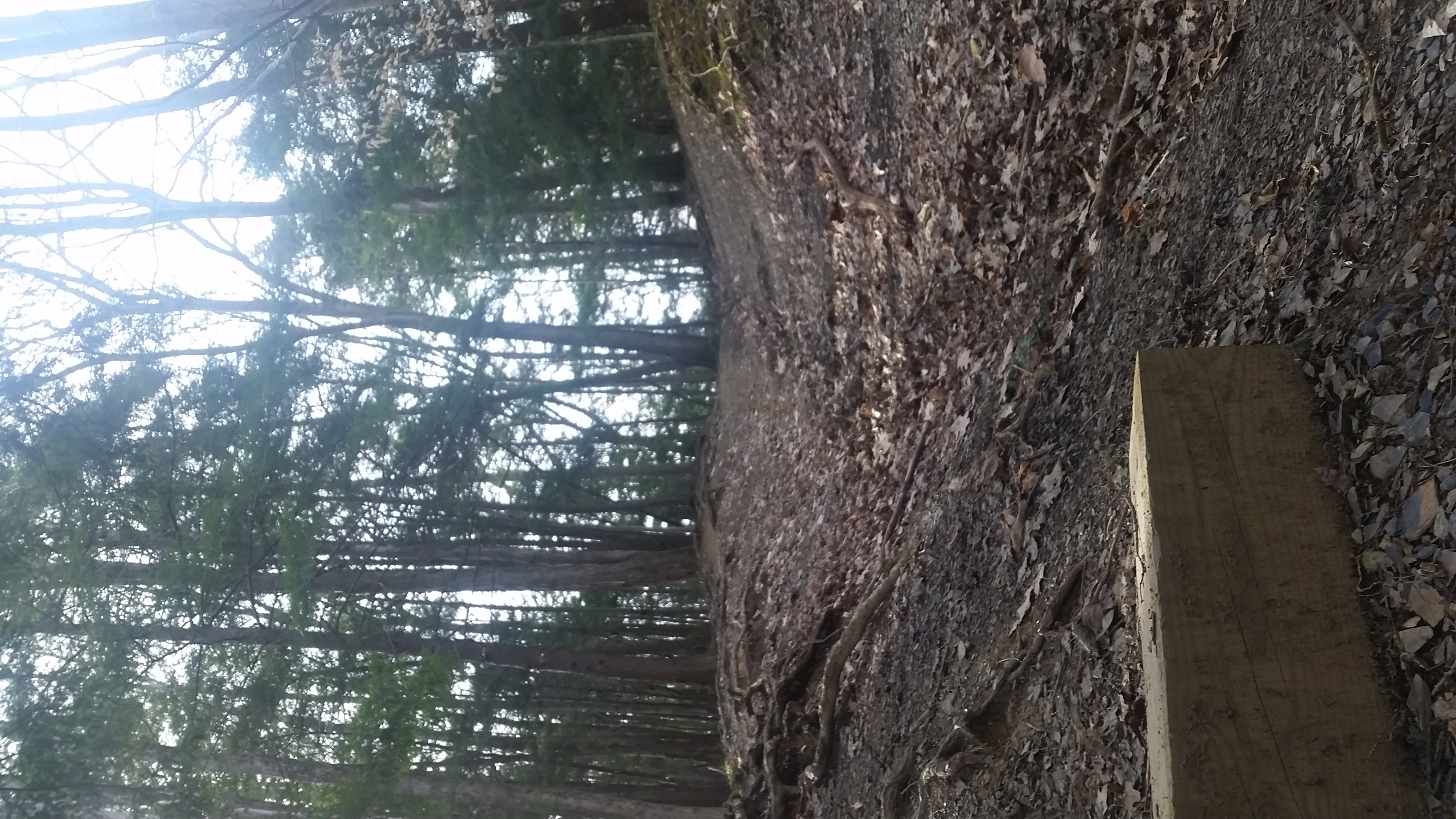 20150419_091754.jpg