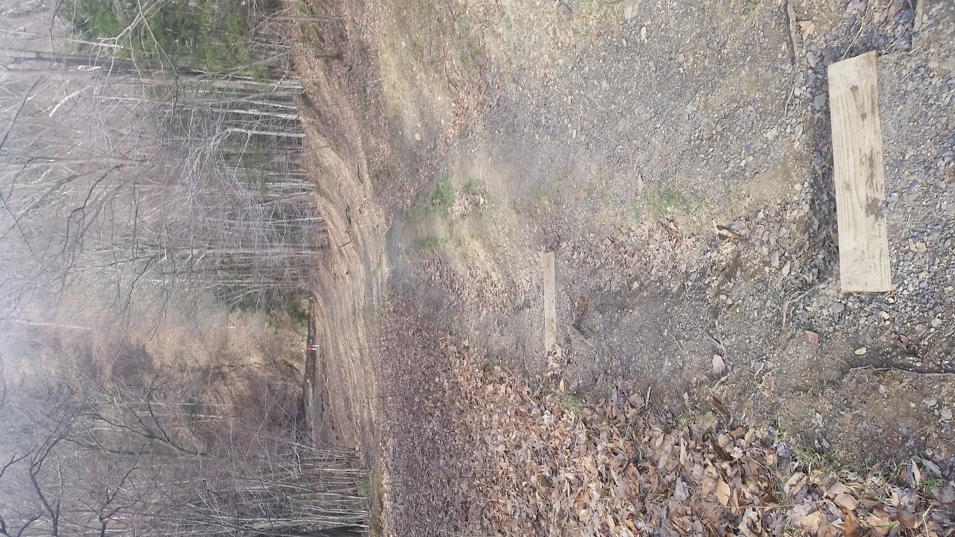 20150419_092011.jpg