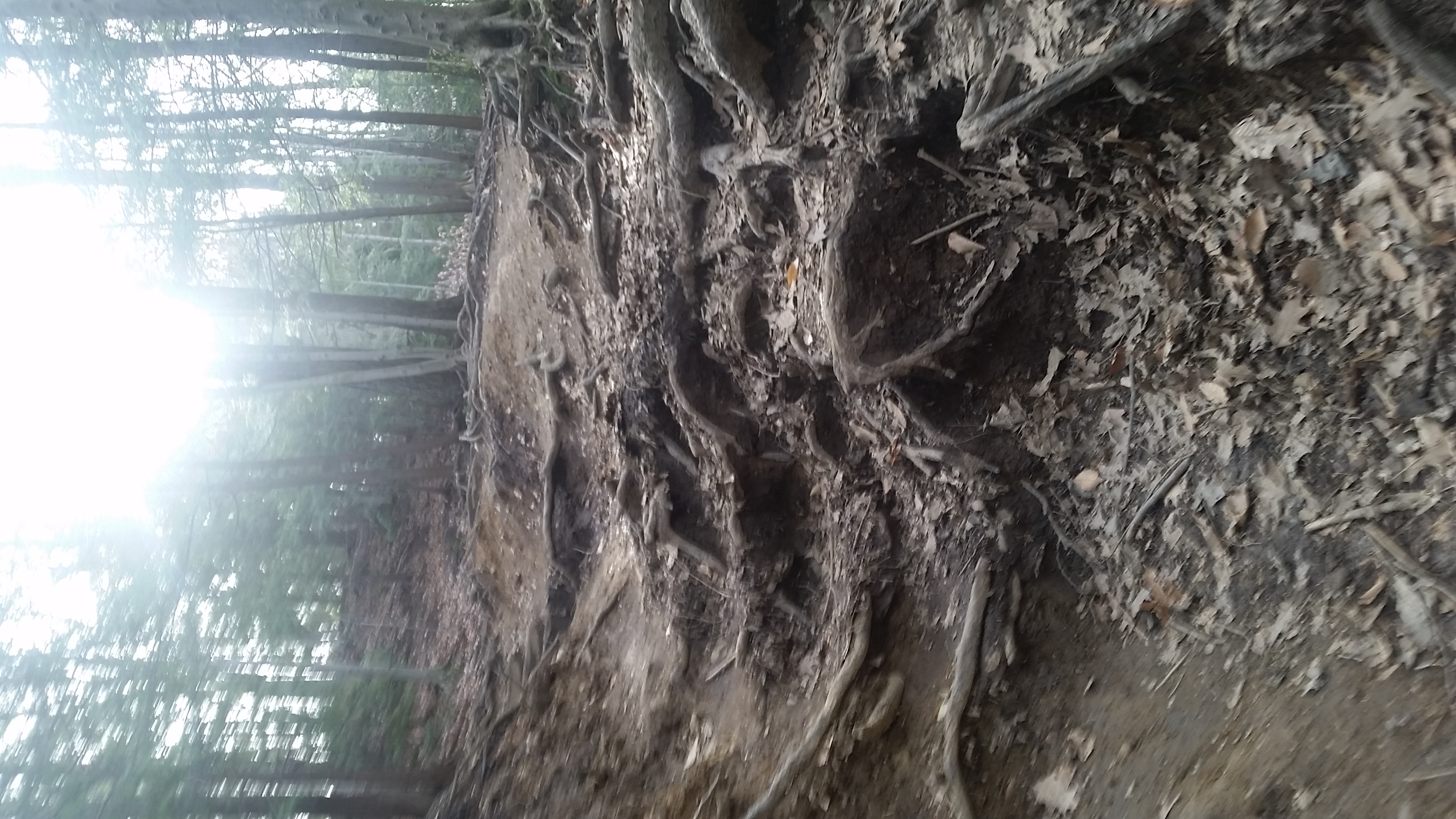 20150419_092733.jpg