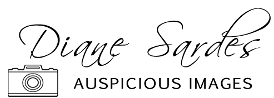 Diane Sardes new logo2.png