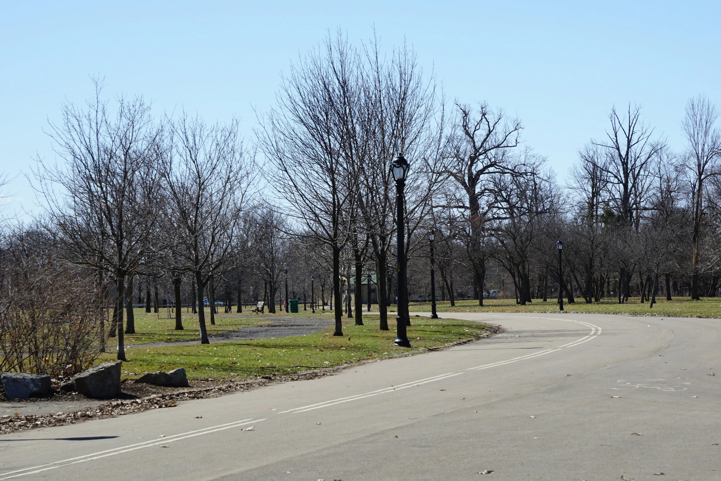 Buffalo Marathon 025.jpg