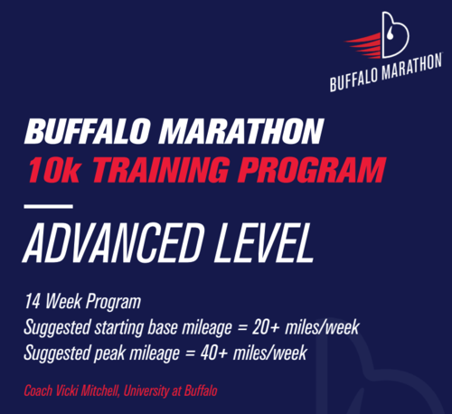 free running training programs for beginners for 1500m