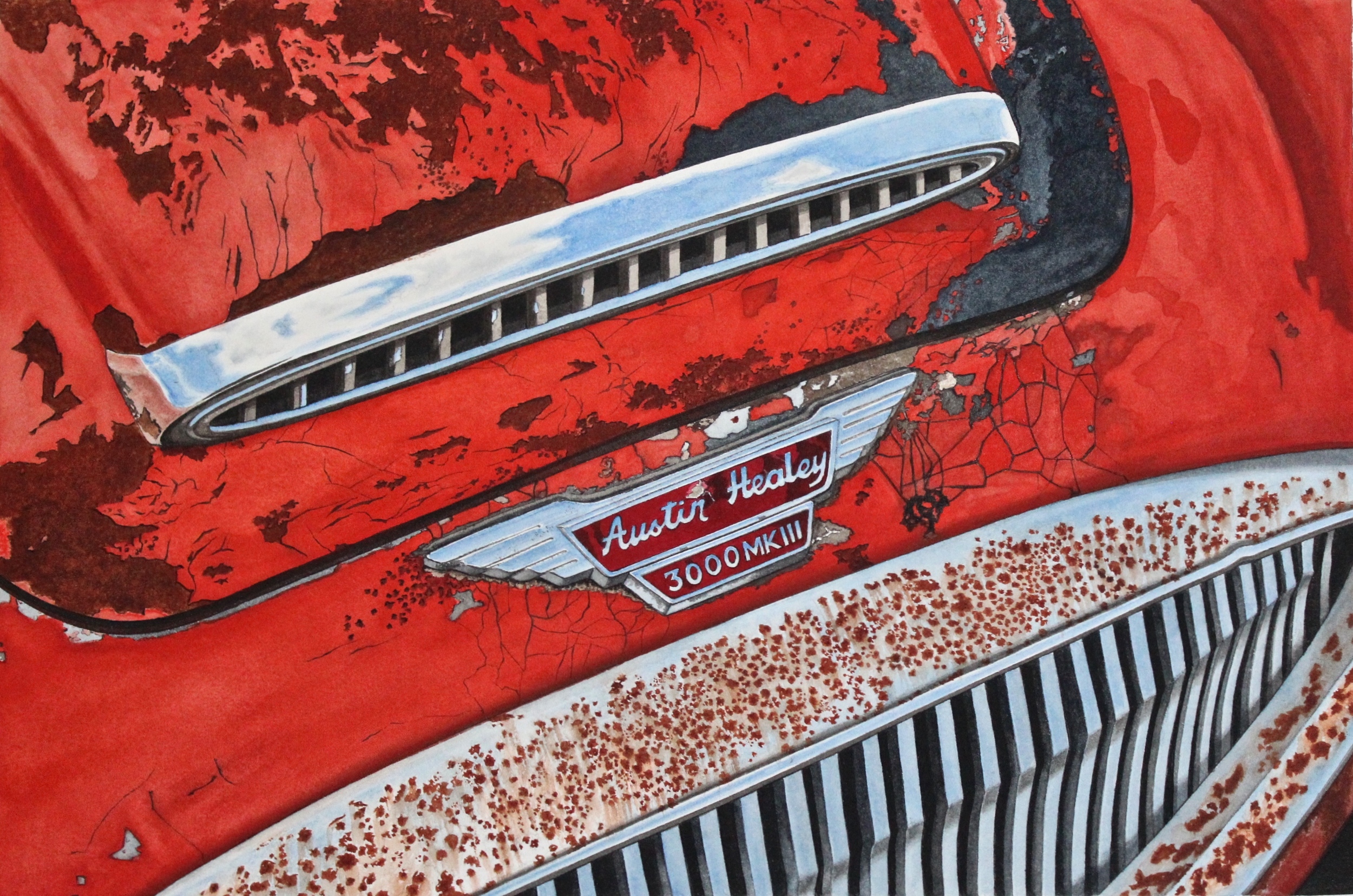 "BARN - FIND HEALEY"