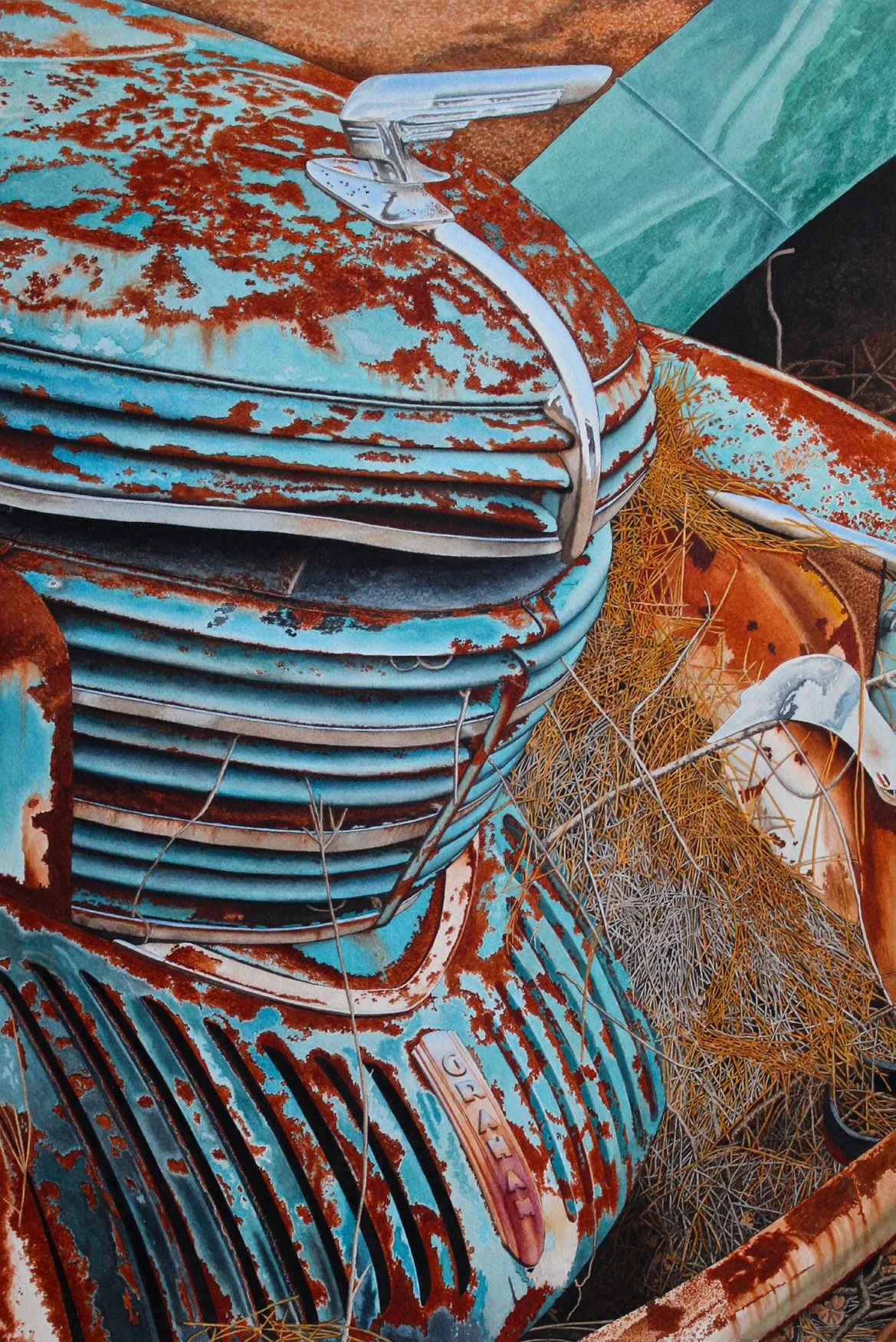 "THE SHARK IN REPOSE"   (Graham)