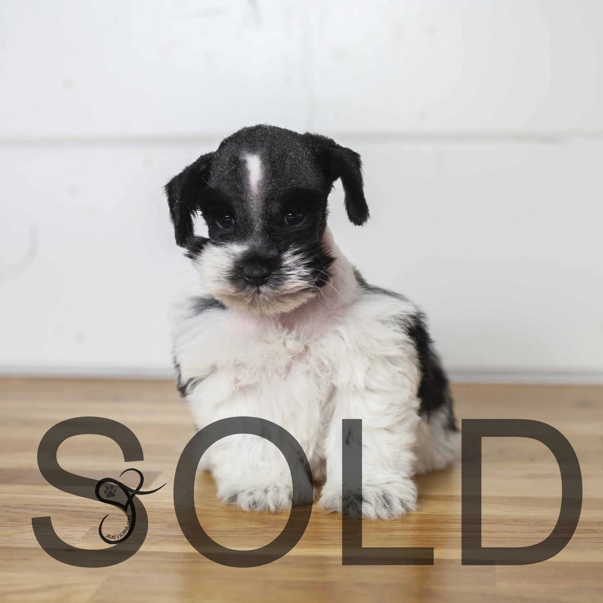 IMG_9679 copy_sold.jpg