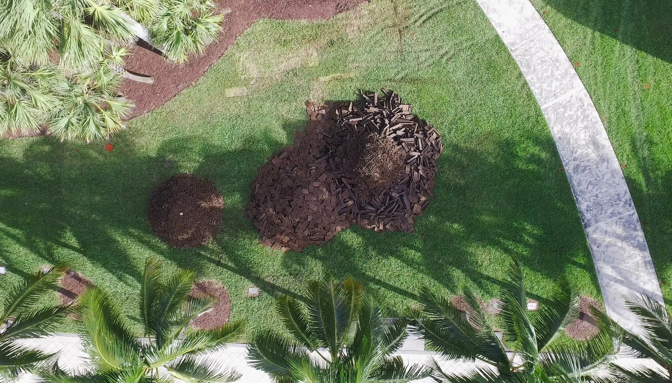 Ace of Spades (aerial view) Art Basel Miami, FL