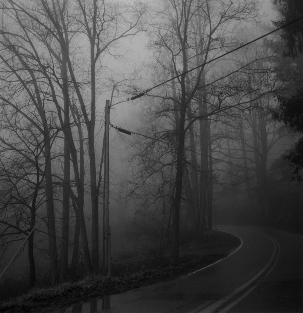 Foggy road at Penland at dusk. 