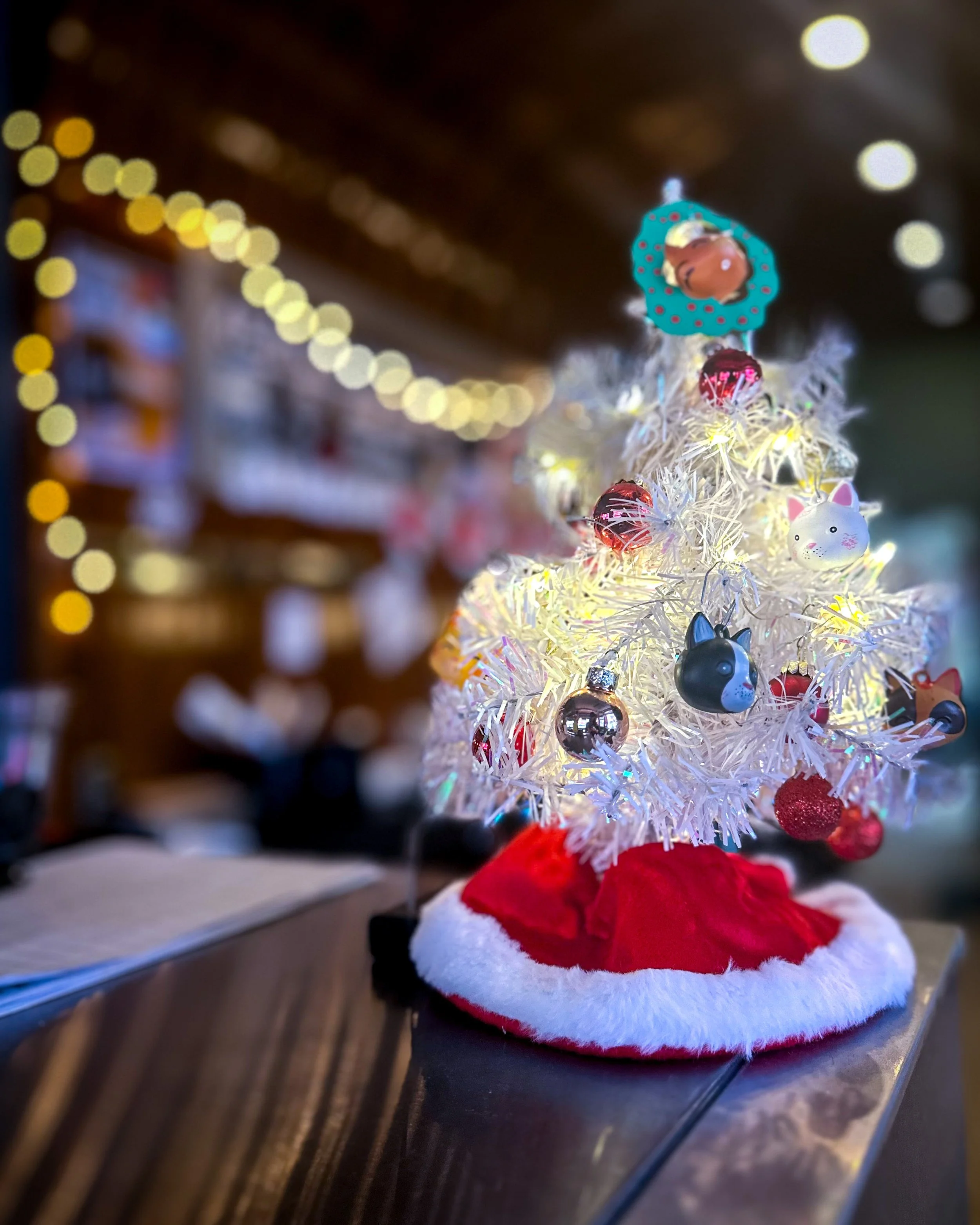 Mini Christmas tree decorated with cat ornaments on top of Comet bar.