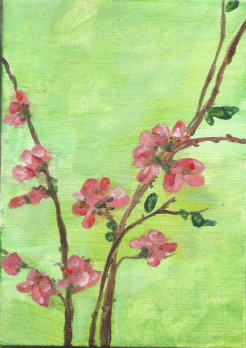 flowering quince.jpeg