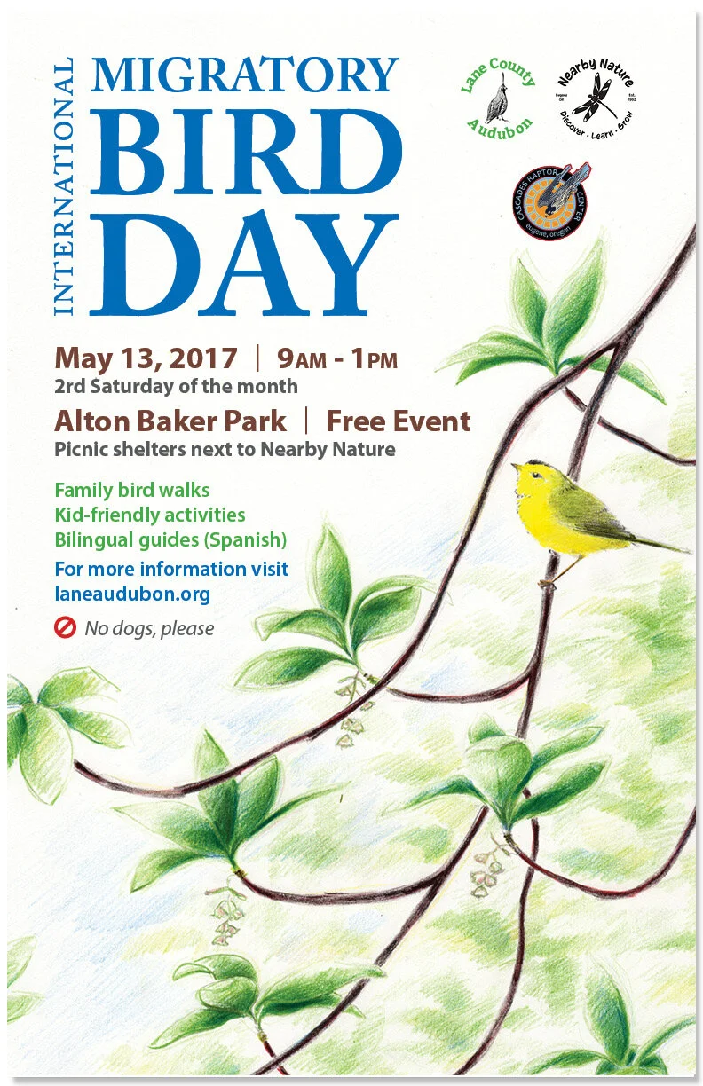 Int Bird Migration Day 2017 - web.jpg