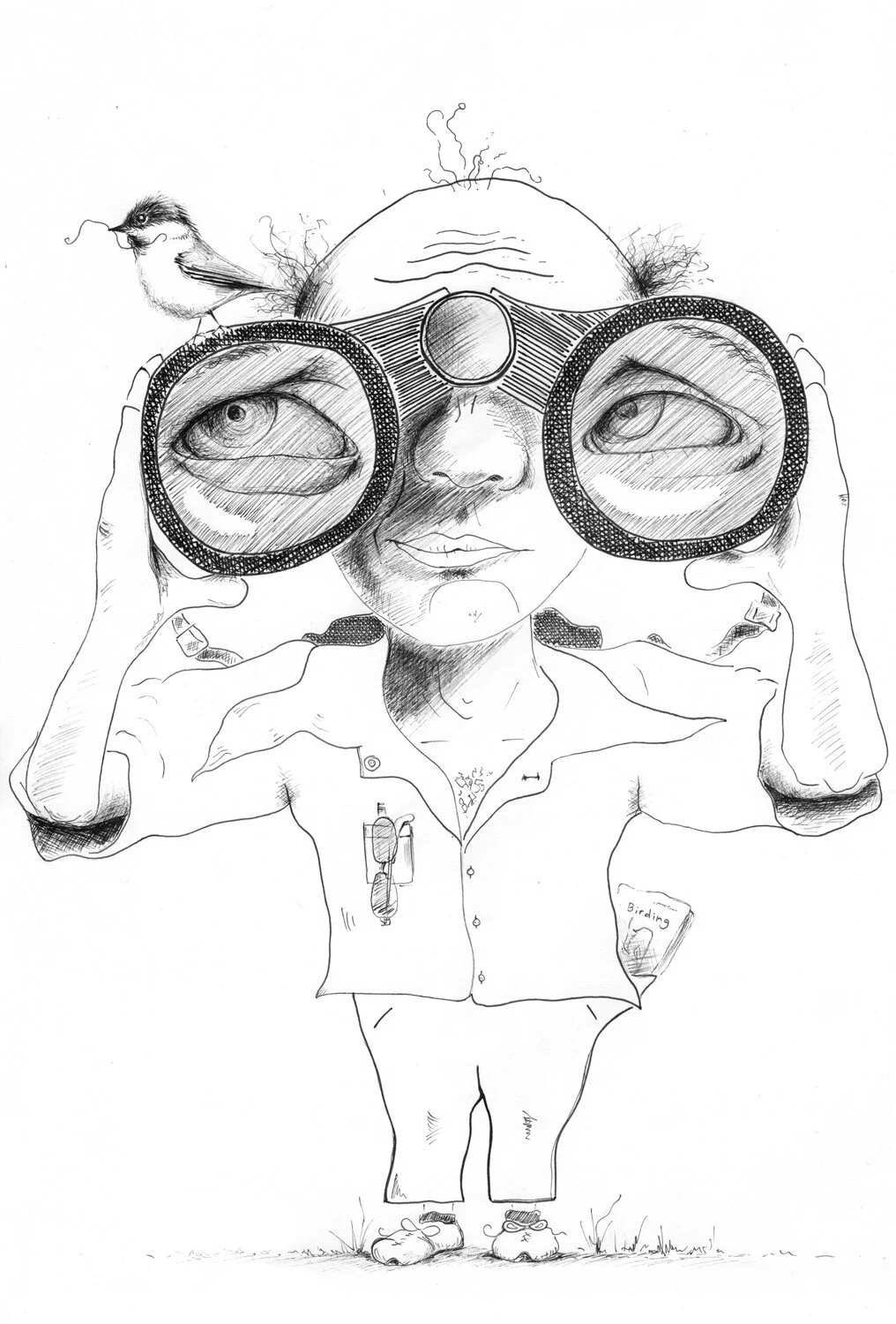 birding_caricurture_v3_web.jpg
