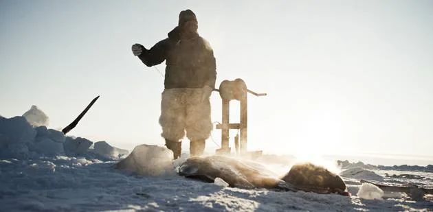 Grønlandsk mad og generalforsamling