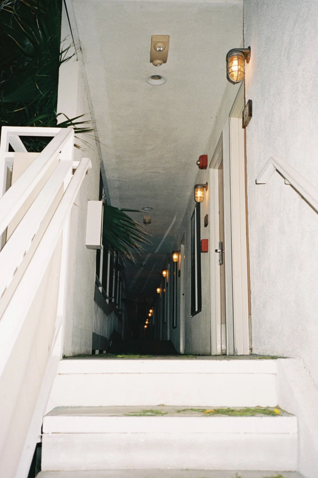 000037_fw_without_frame-4.jpg