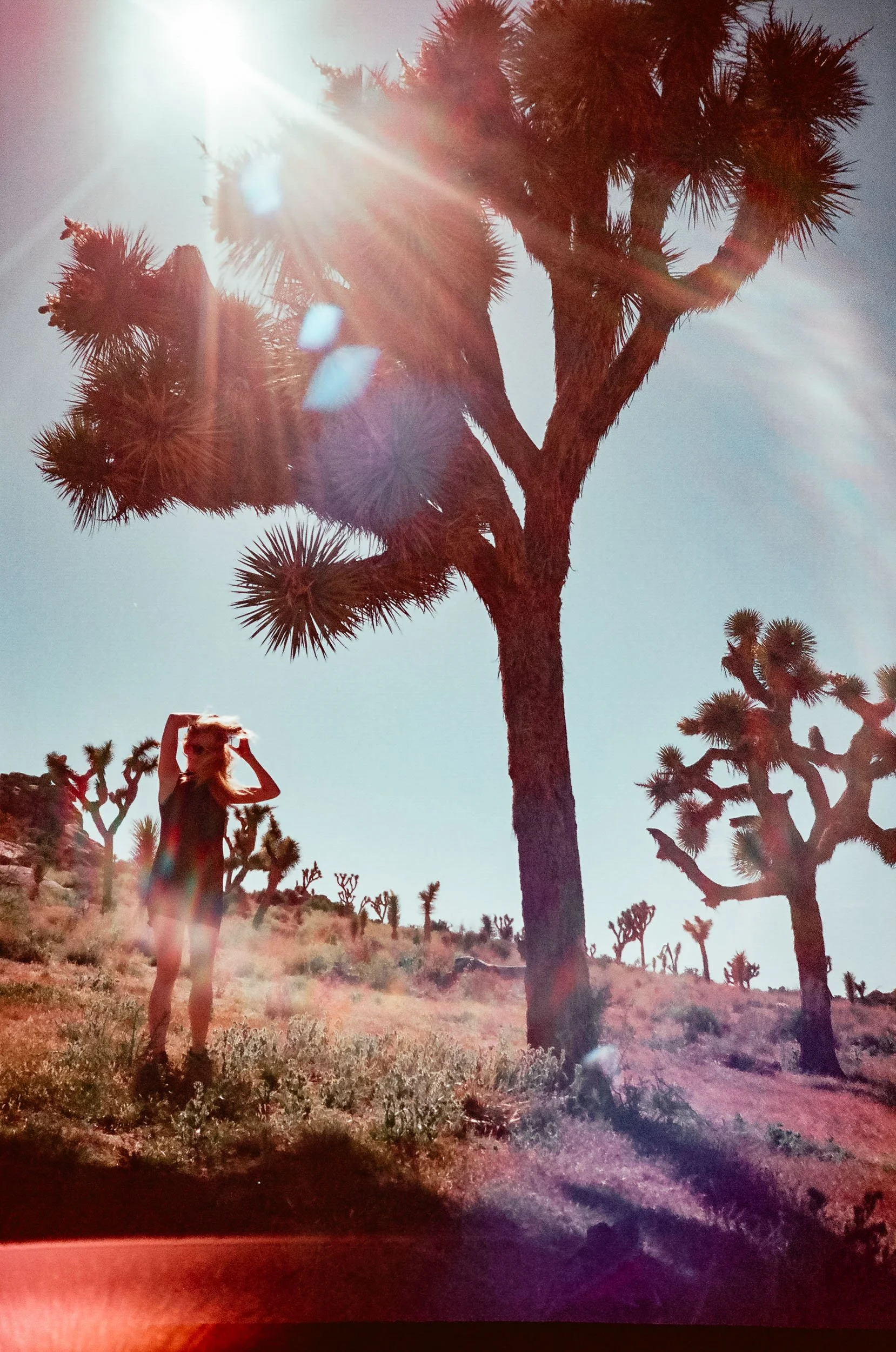 Tancred Newbury Portfolio ONE © -74.JPG