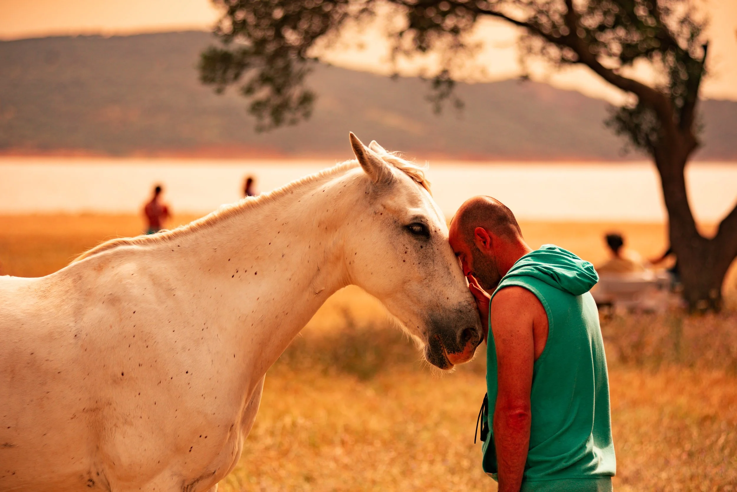 Tancred Newbury Portfolio ONE © -101.JPG