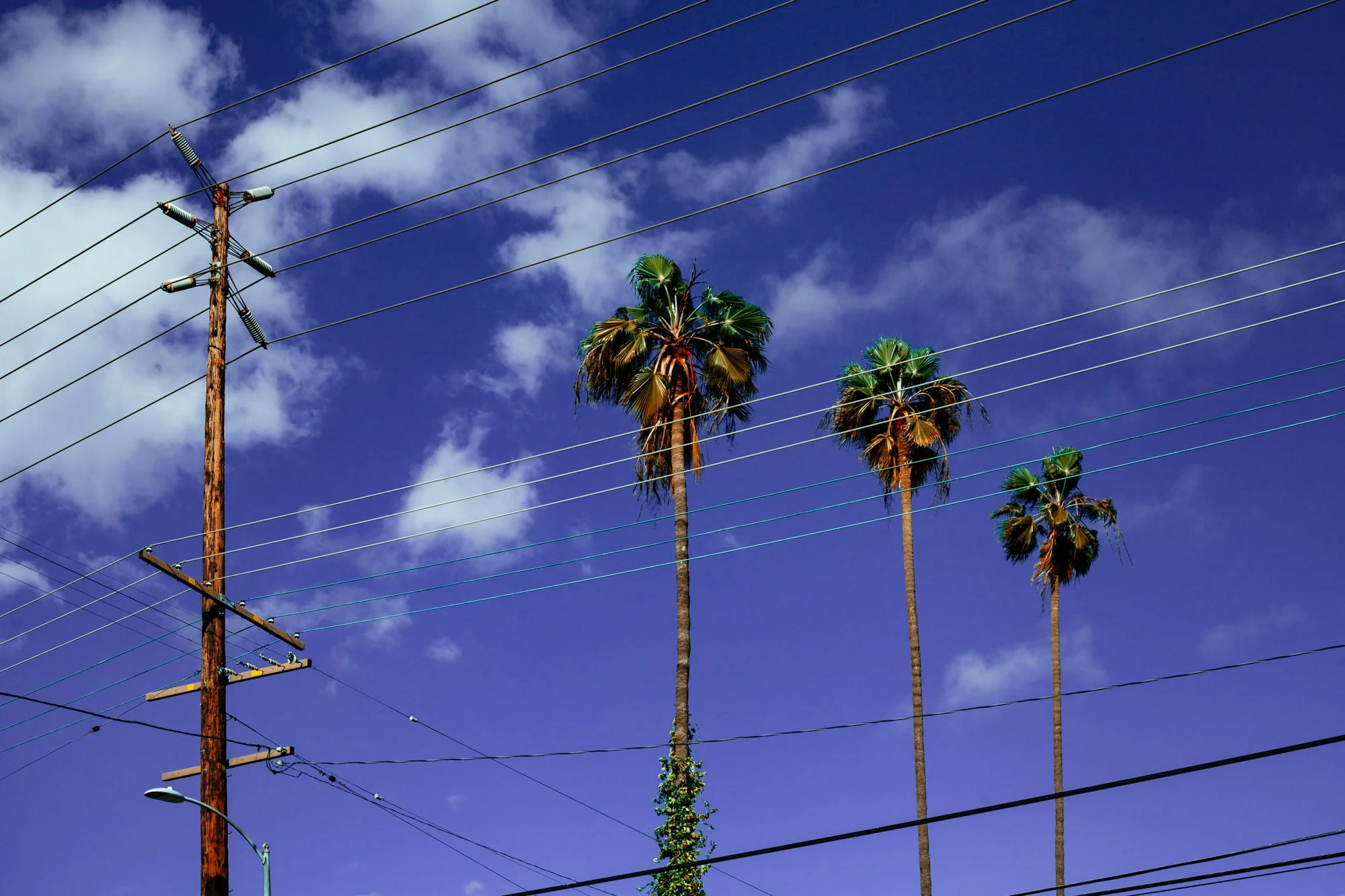 Tancred Newbury Two © -2.JPG