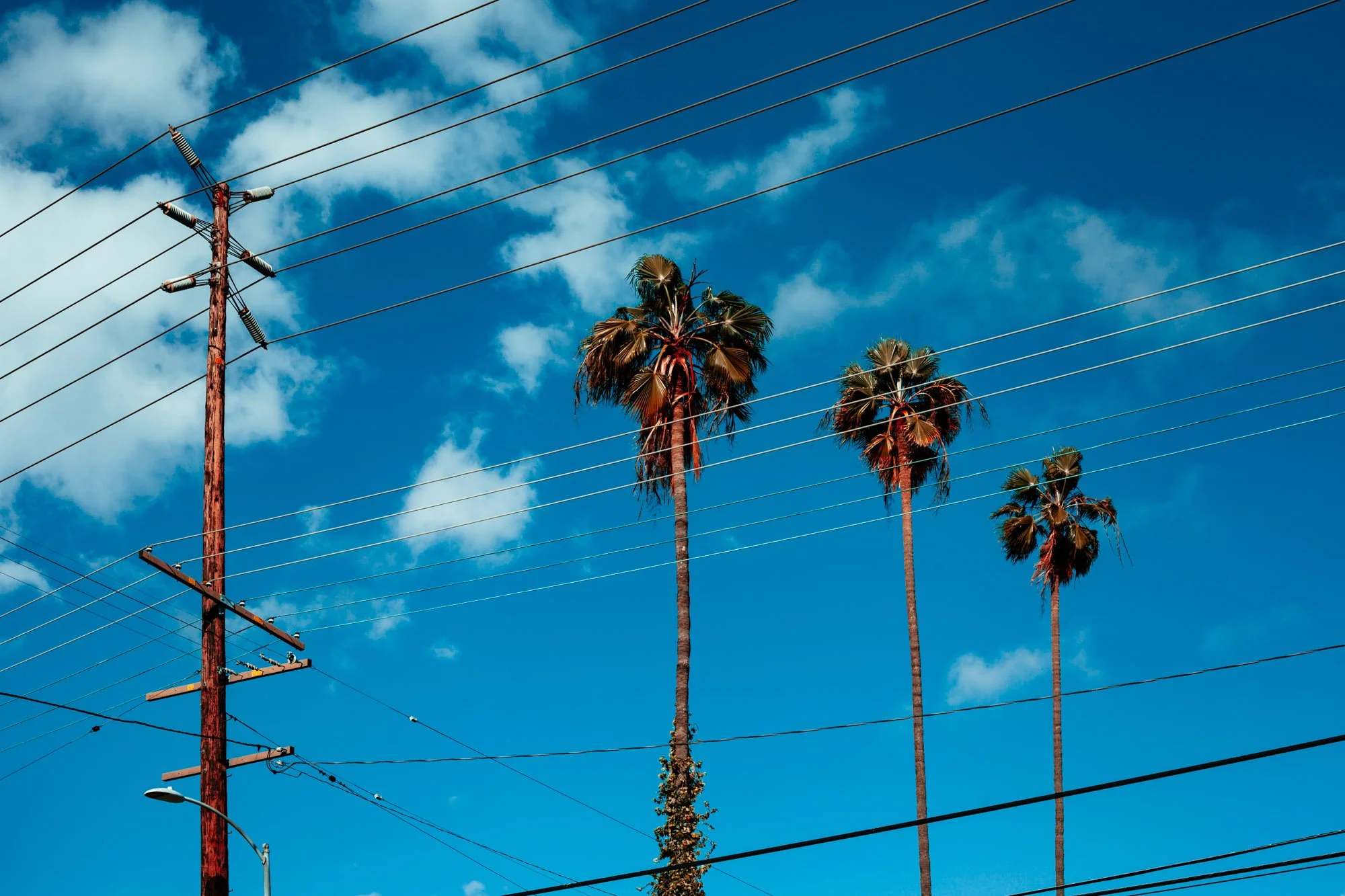 Tancred Newbury Two © -1-12.JPG