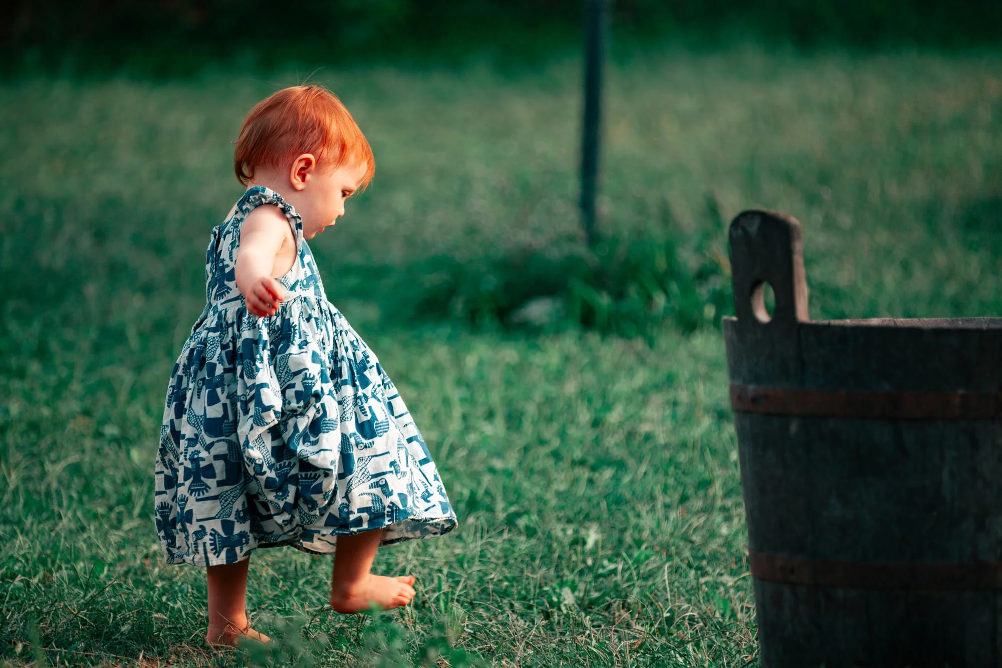 The Guests take in the grounds-41.JPG