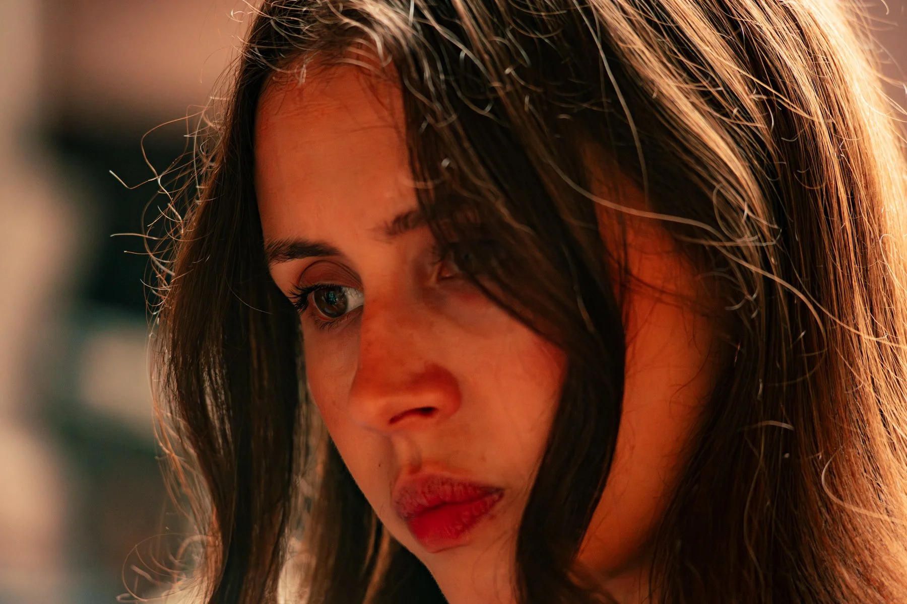 The Orchard -198.JPG