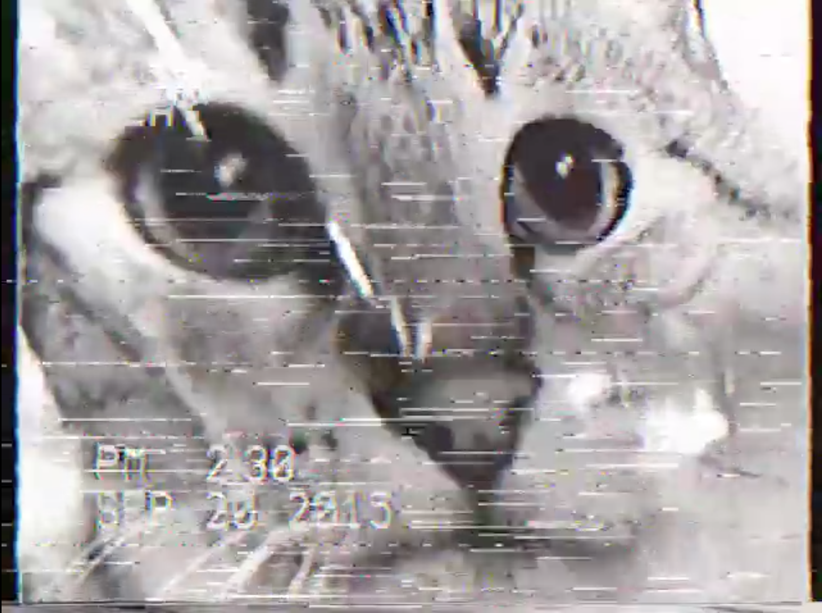 Screen Shot 2015-09-20 at 6.07.18 PM.png