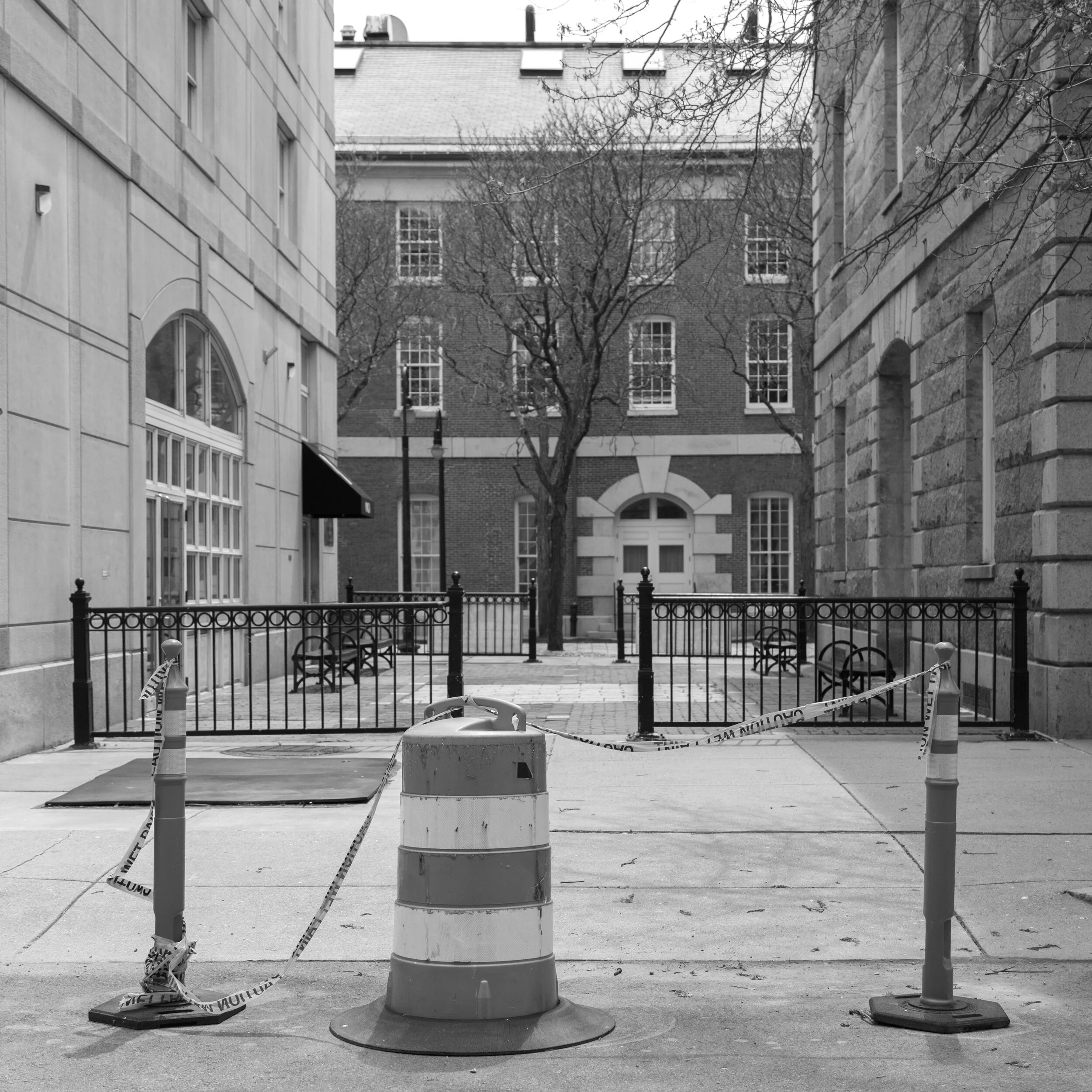 _MG_4220.jpg