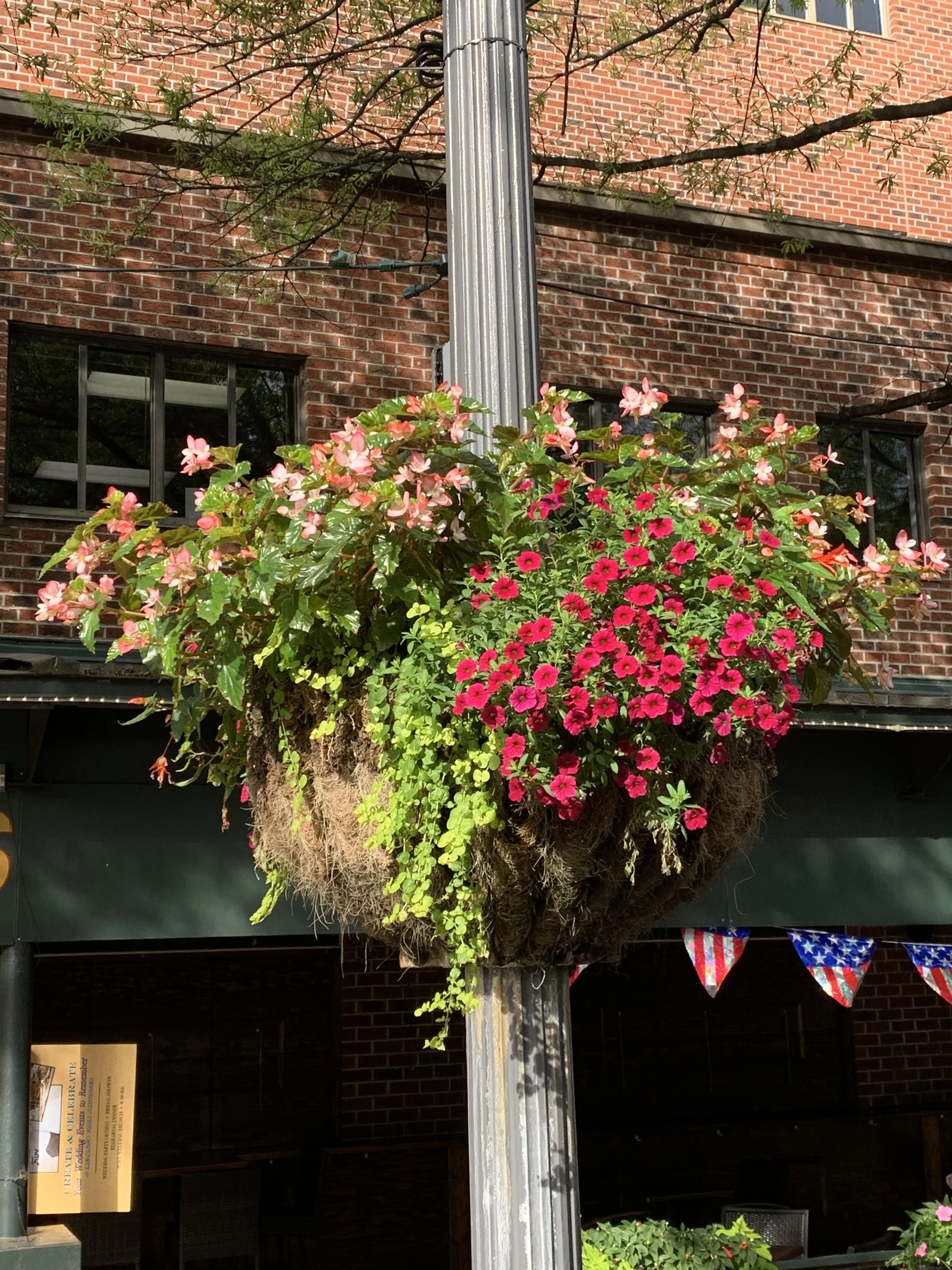 City streetpole baskets2.jpg