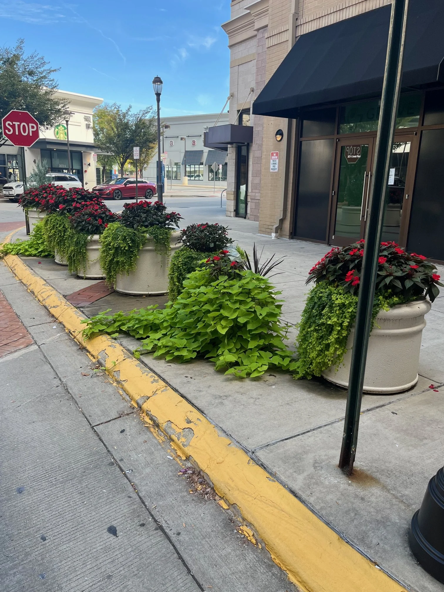 Planters,basketsHT3.jpg