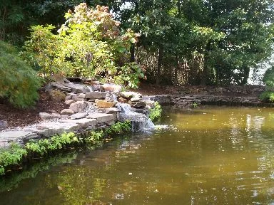 Lunpond1.jpg