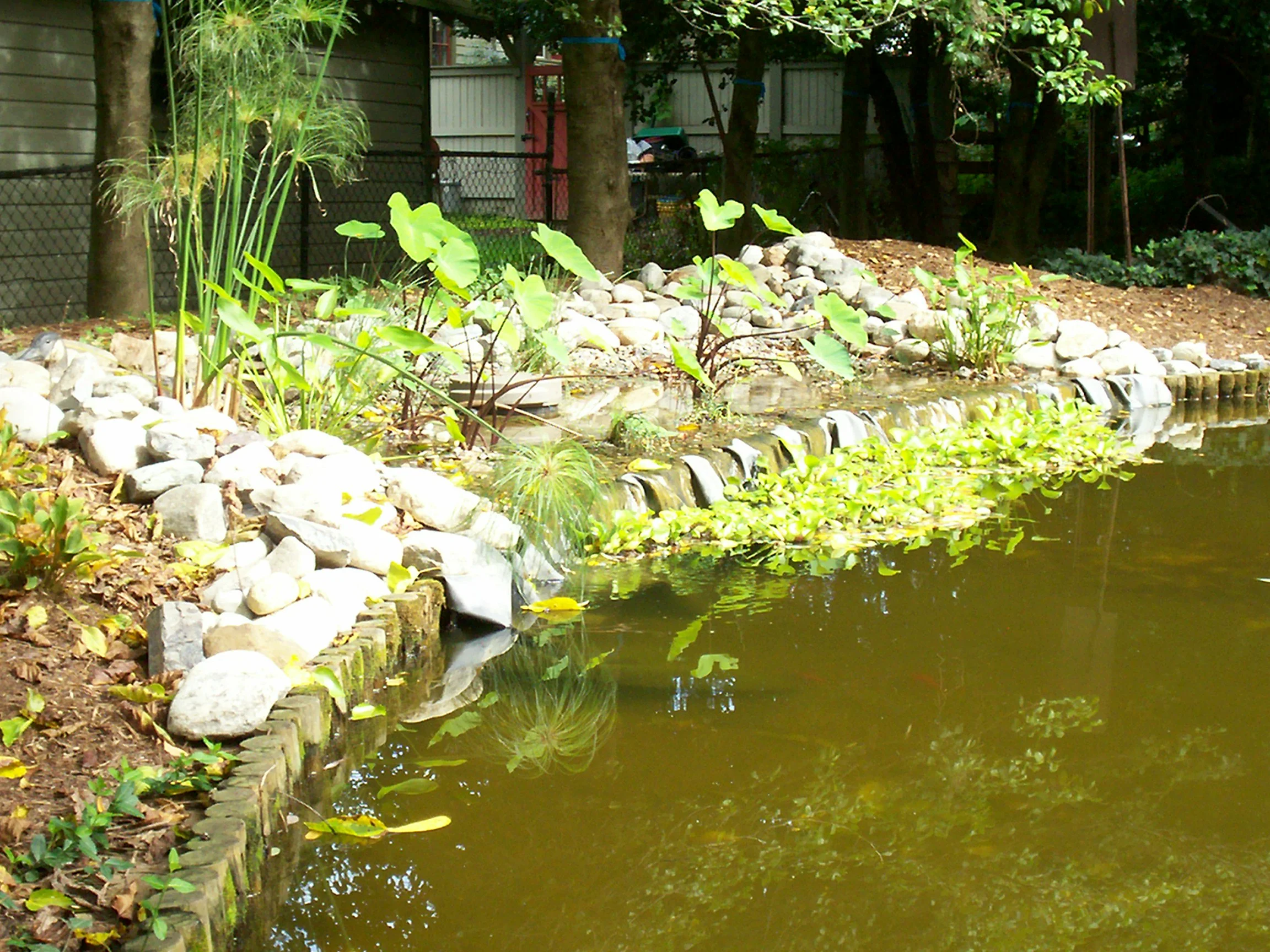 000_0454.JPG