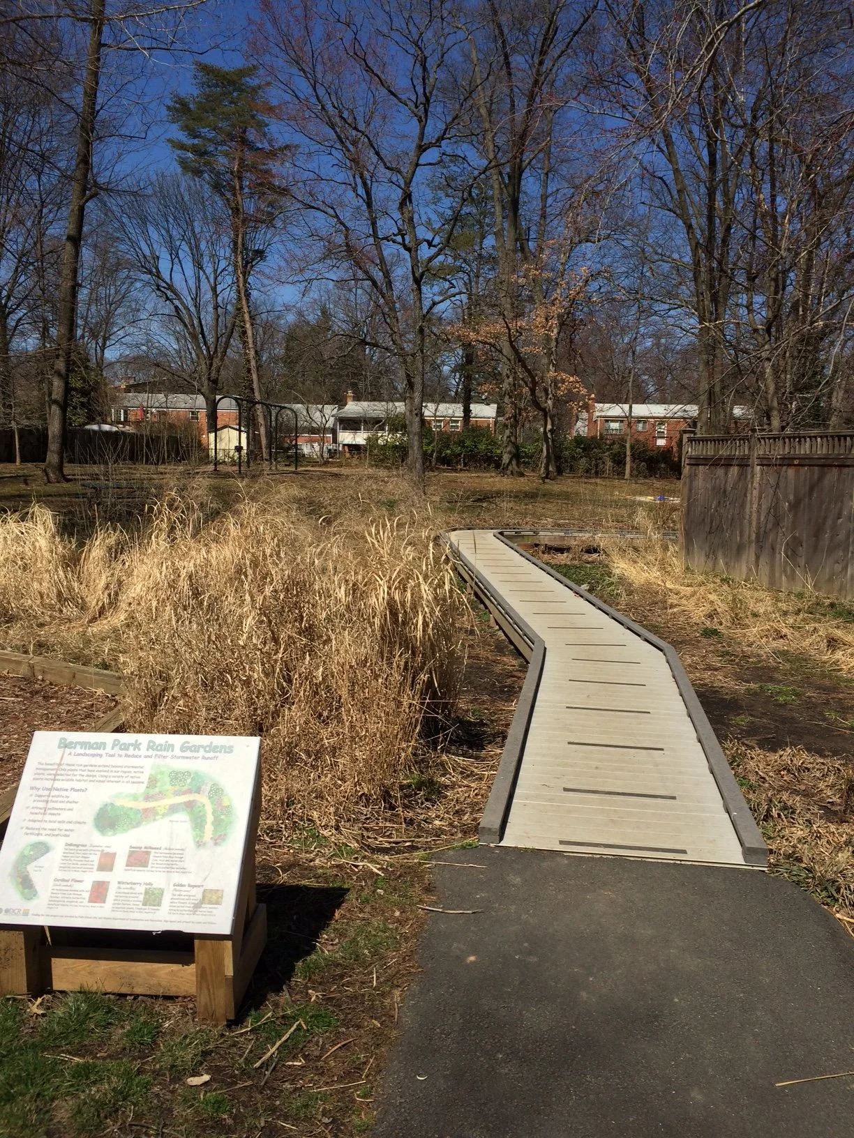 Berman Park boardwalk and wetlands.JPG