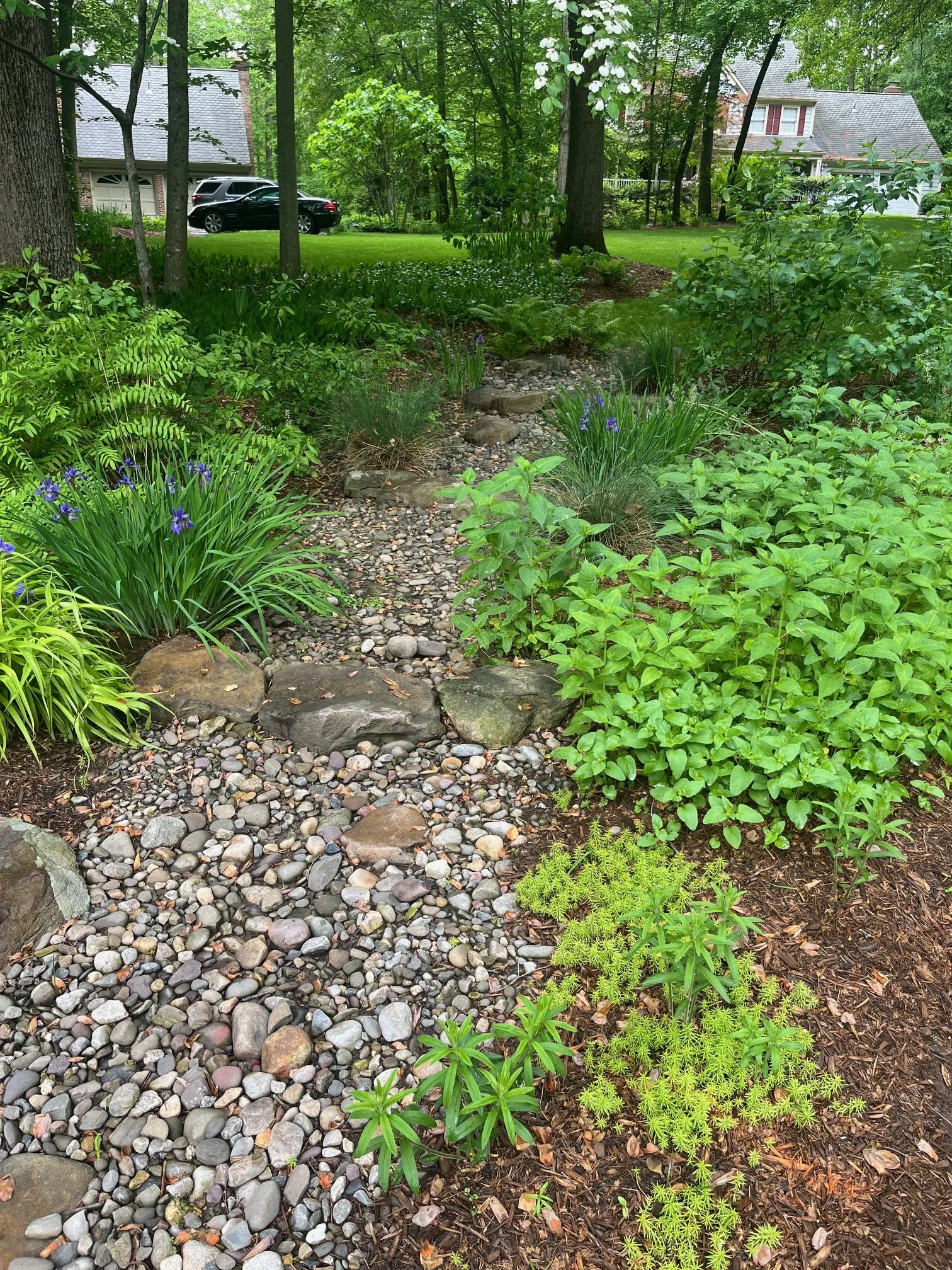 Creekbed rain garden - Ayers.jpg