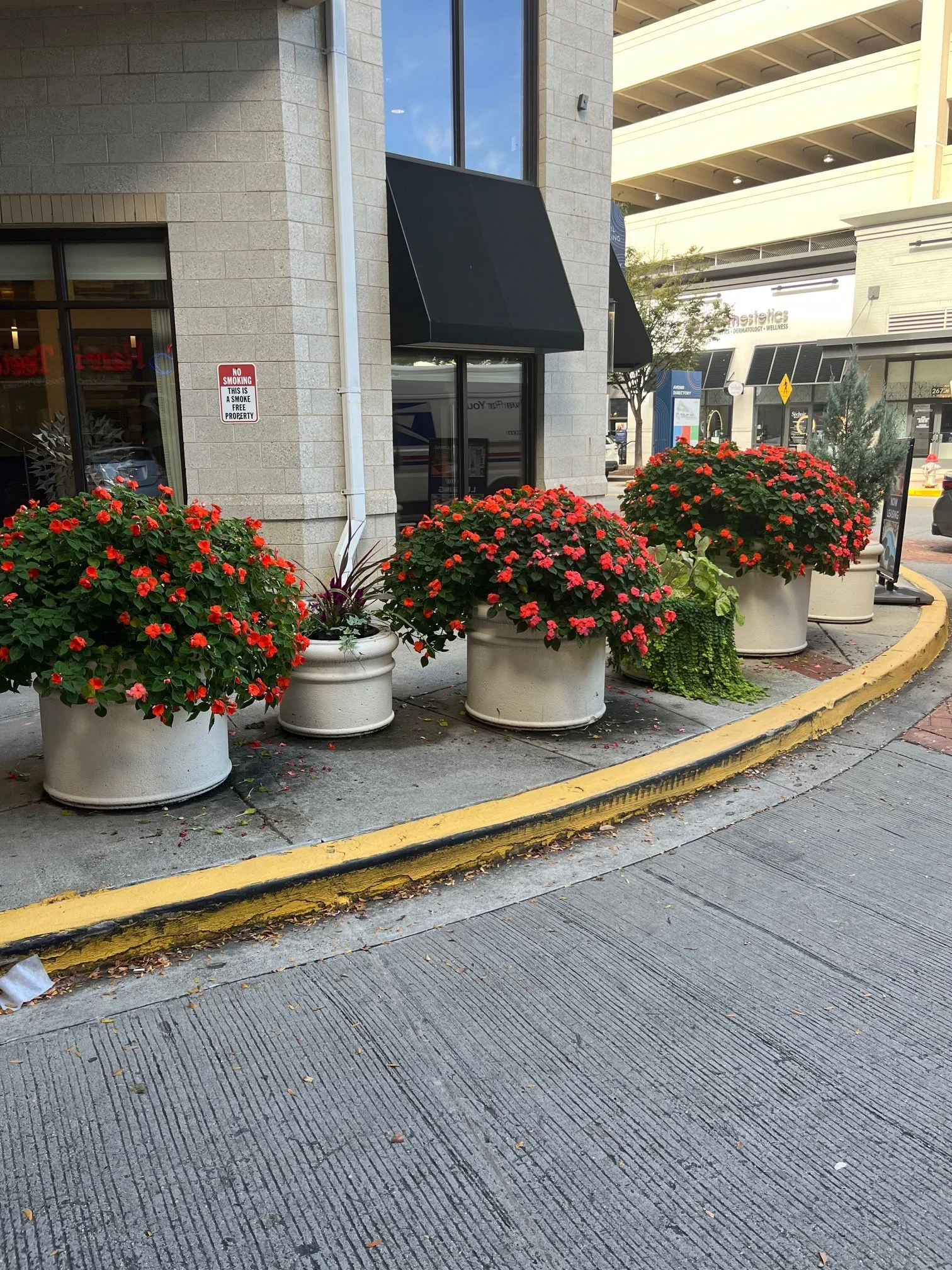 Planters,basketsHT5.jpg