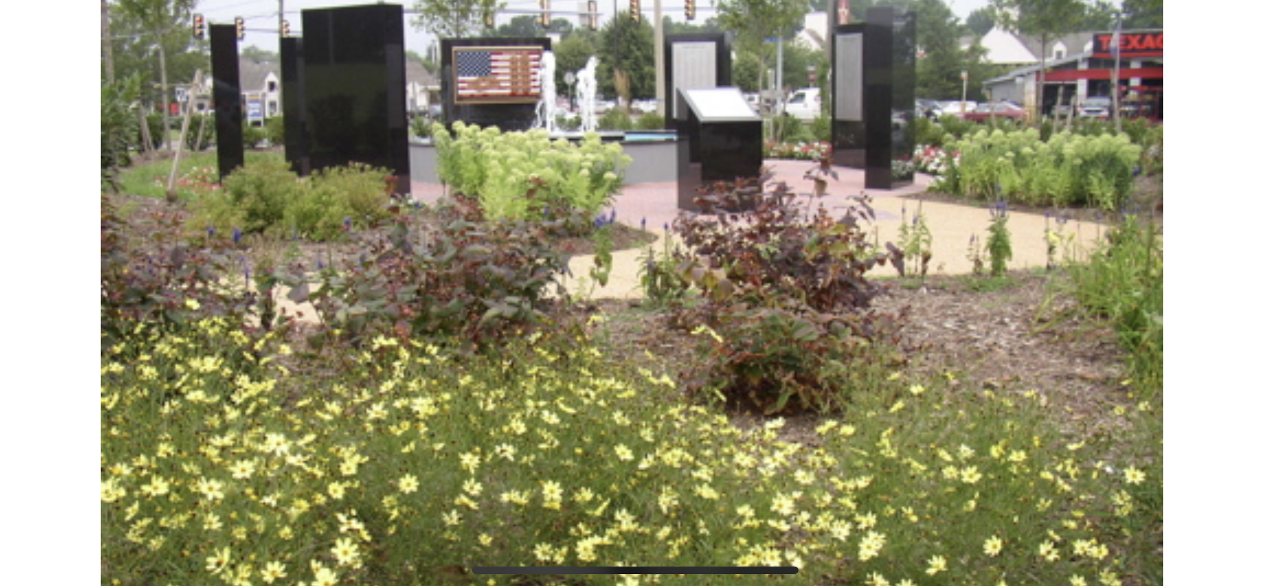 Work sample- Commercial plantings.PNG