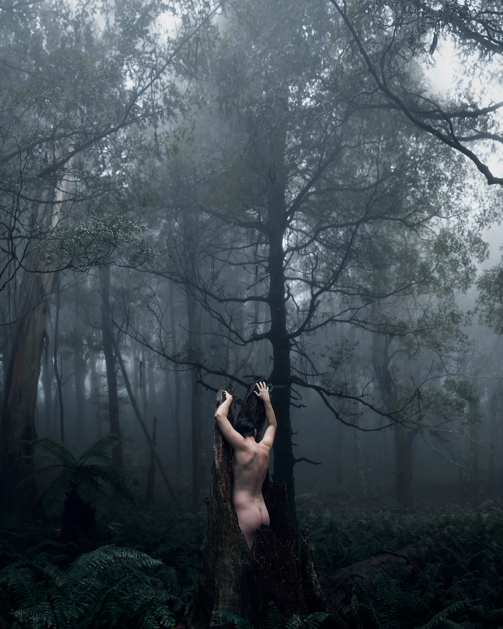 Untitled_Panorama4.png