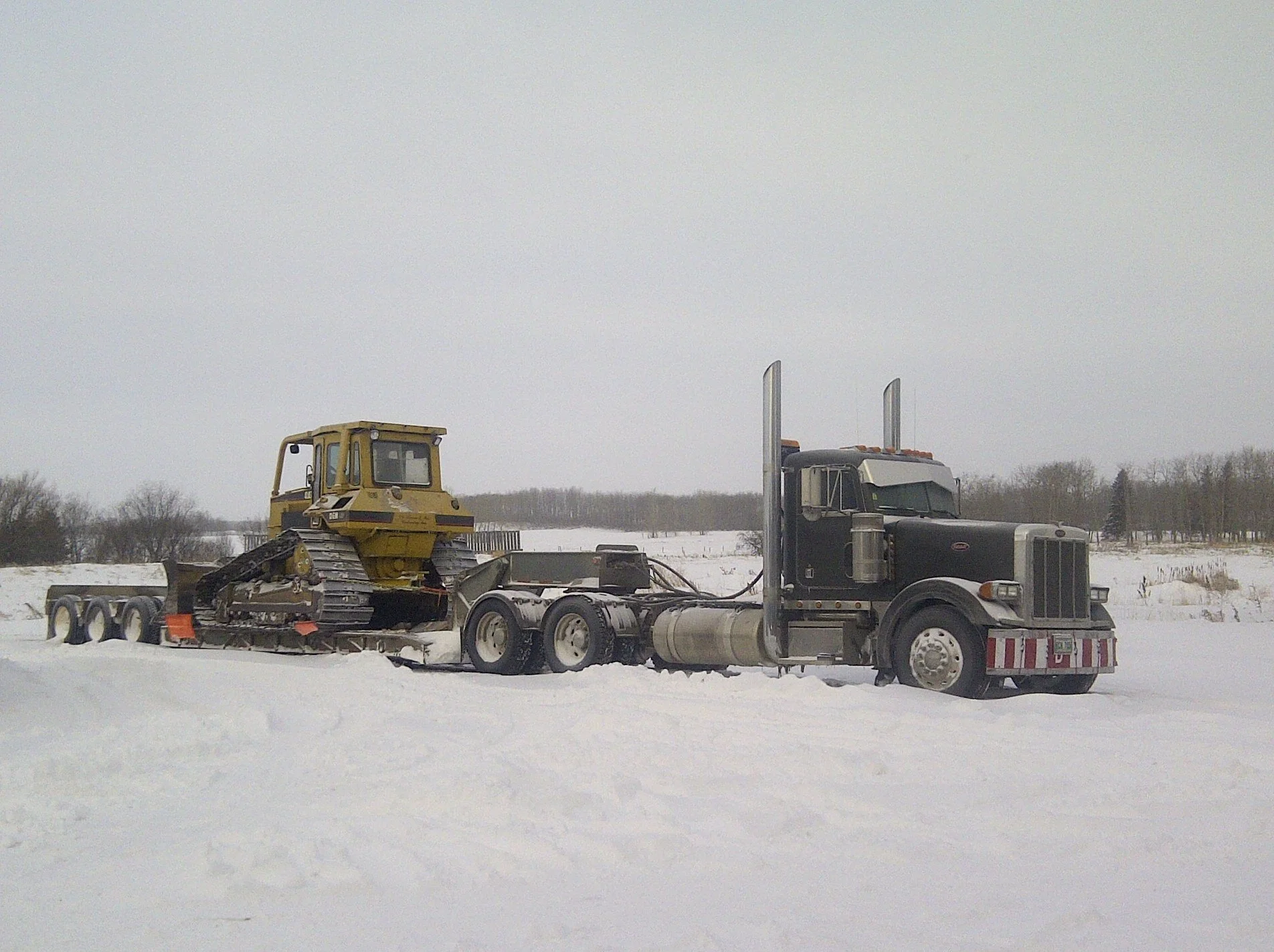 Minto-20140106-00600.jpg