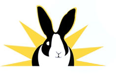 Special Bunny No Background.png