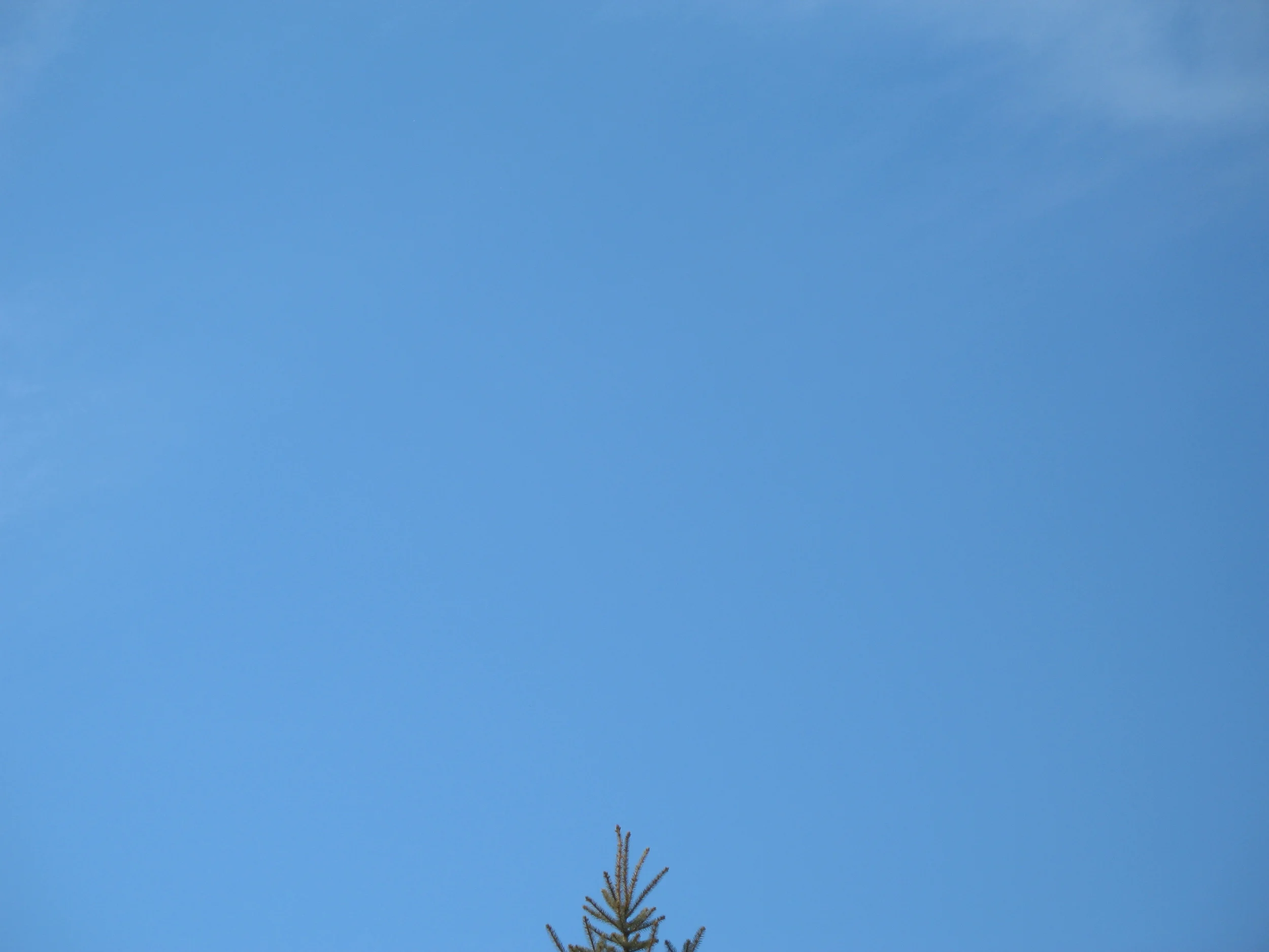IMG_4538.JPG