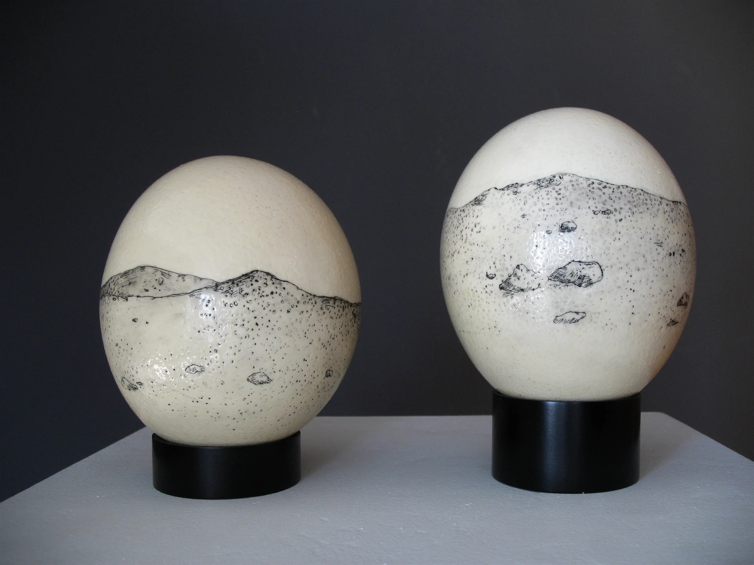 The Lonely Visions of the Pathfinder Spacecraft Etched ostrich eggs with ink and painted aluminum. 8" tall. 2008