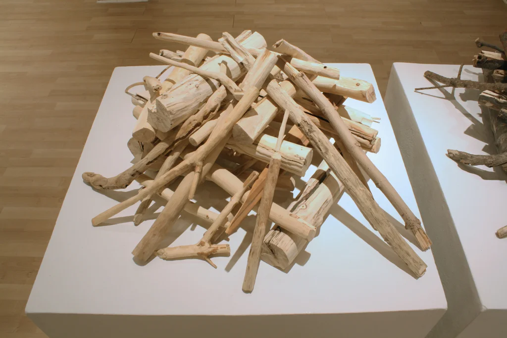 Pierre Menard 2web image.jpg