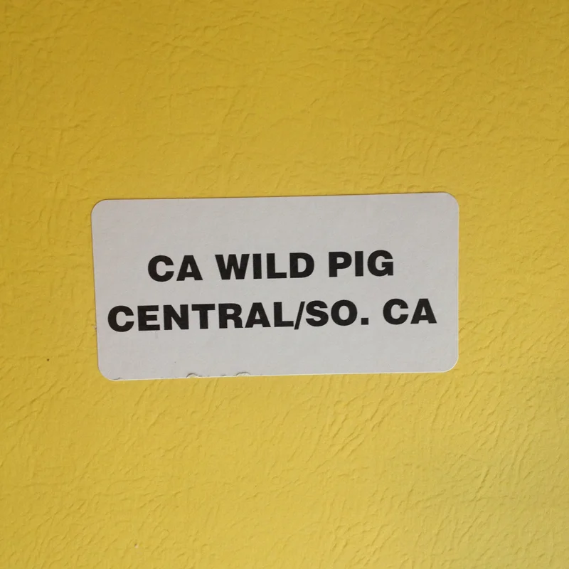CA_Pig_Pack_image.jpg