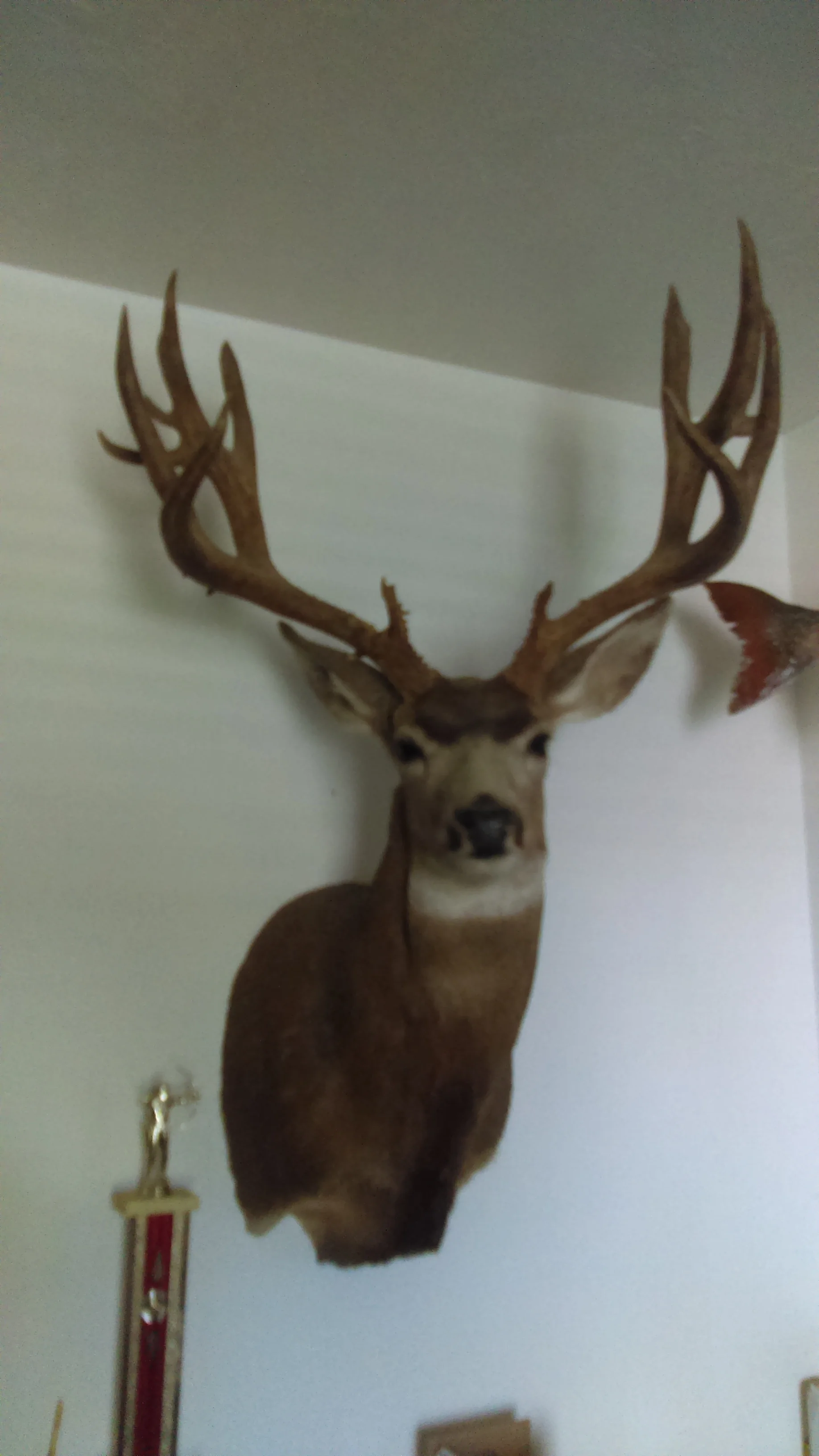 IMAG0304.jpg