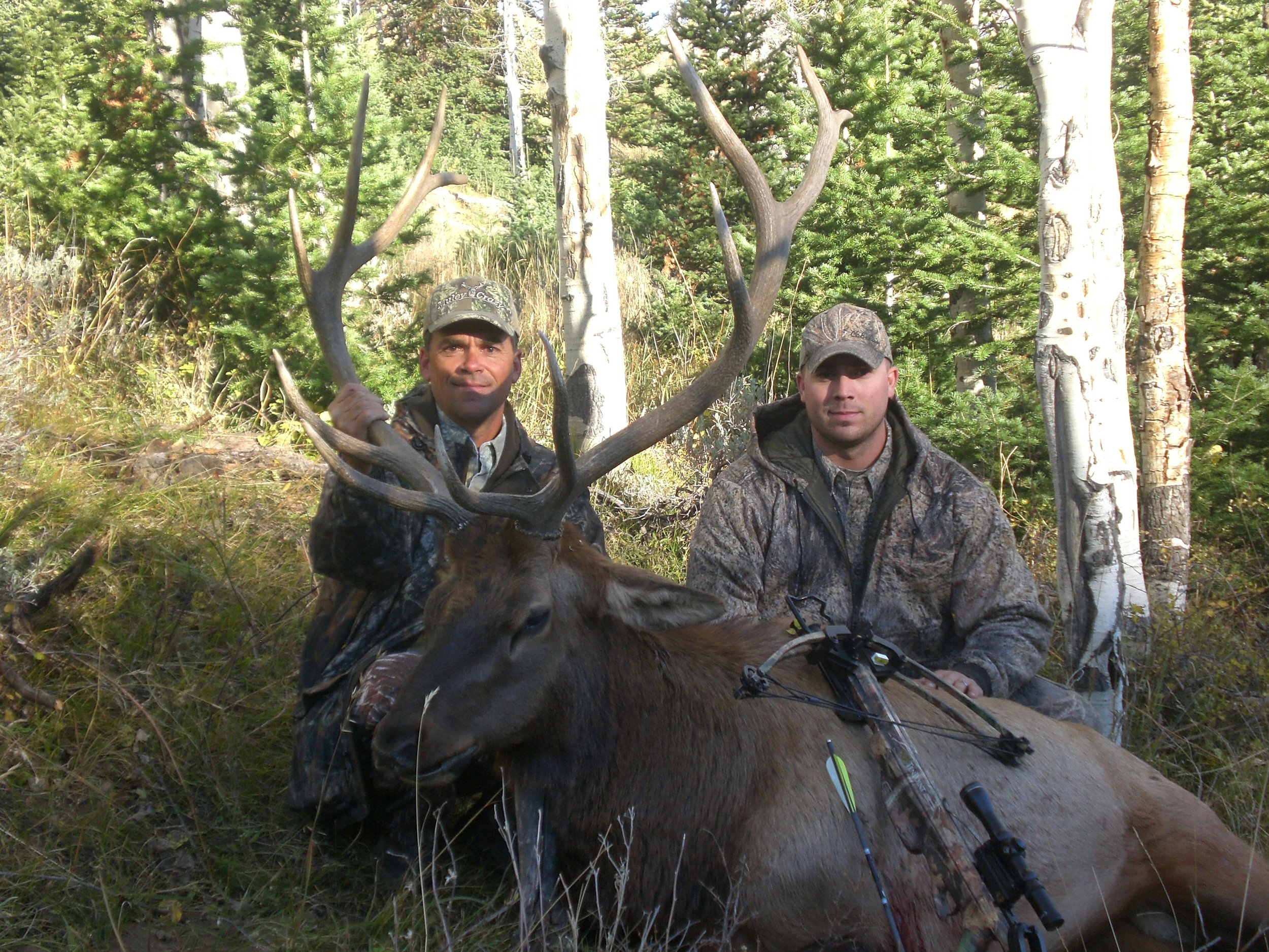 Wyoming09Elk_Little Mtns 159.jpg