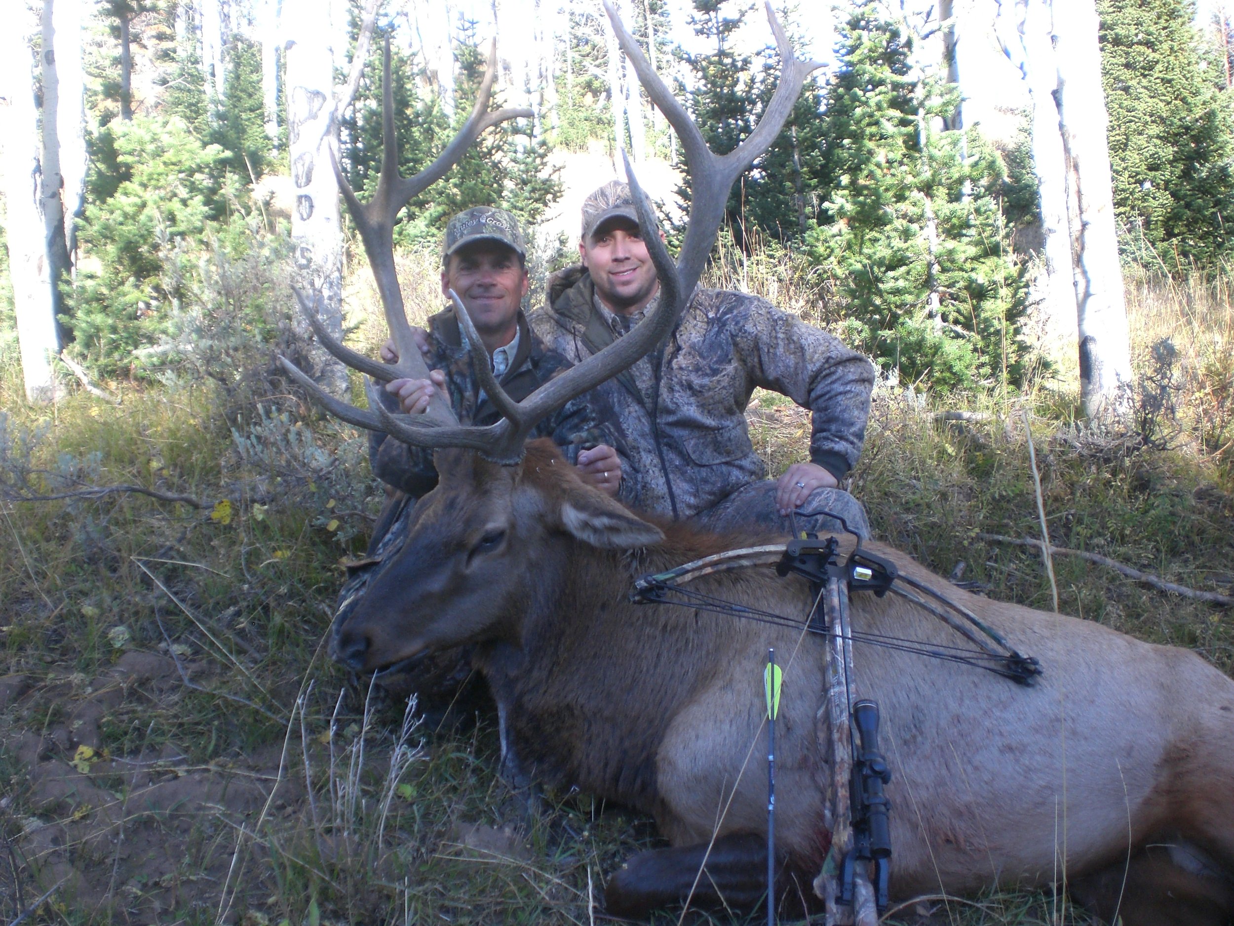 Wyoming09Elk_Little Mtns 157.jpg