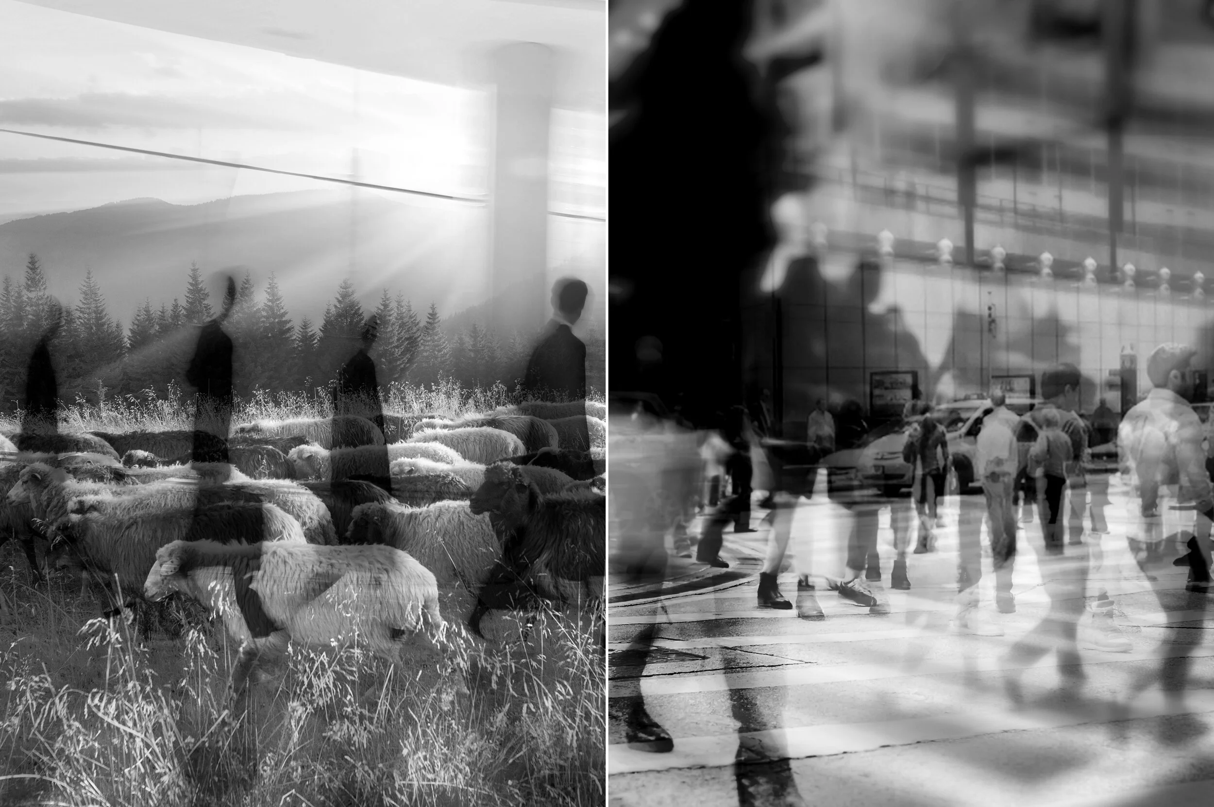 DoubleExposure_Pair_2.jpg